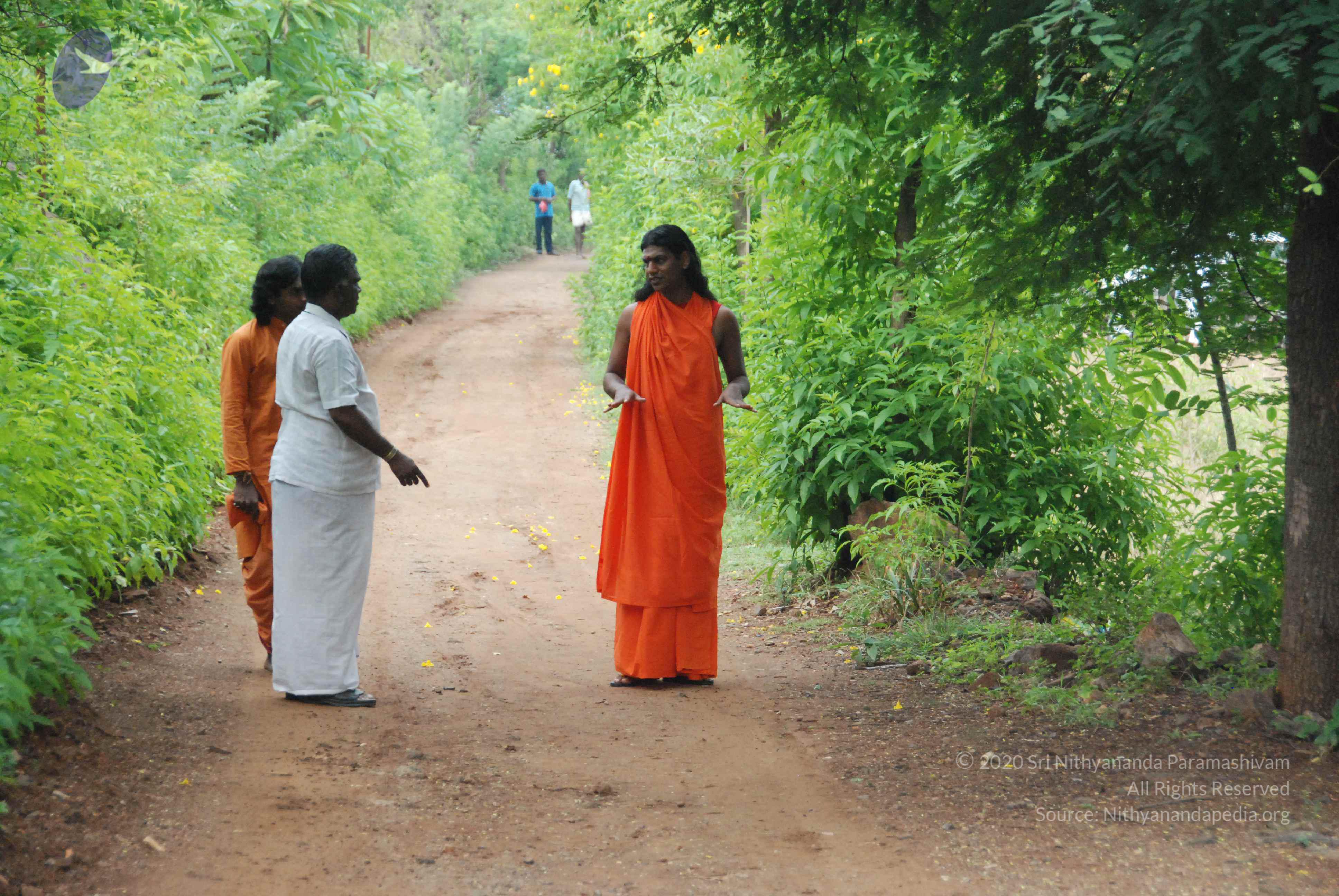 20090730_Photo_1000_DSC_0001_CMP_WM