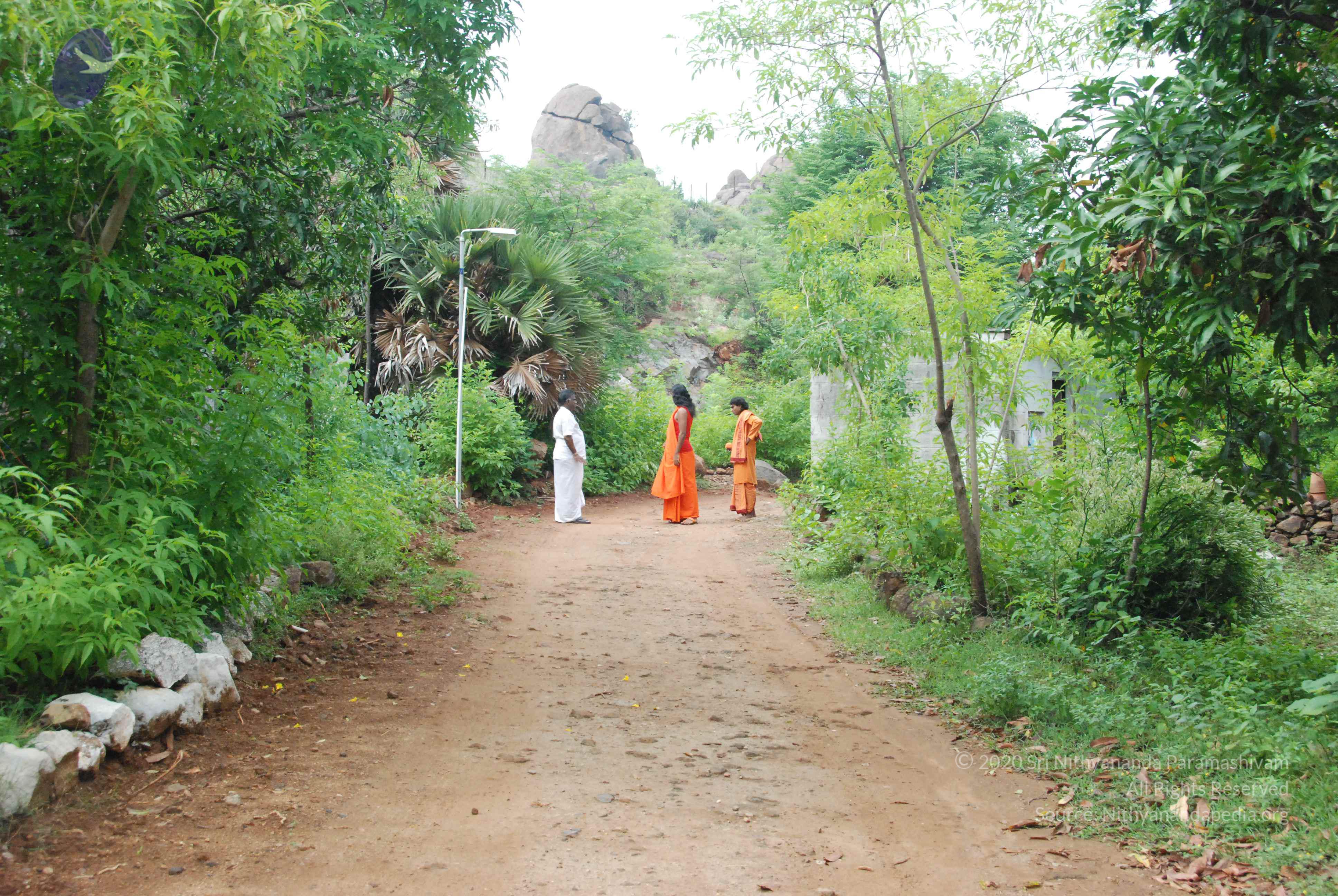 20090730_Photo_1001_DSC_0004_CMP_WM