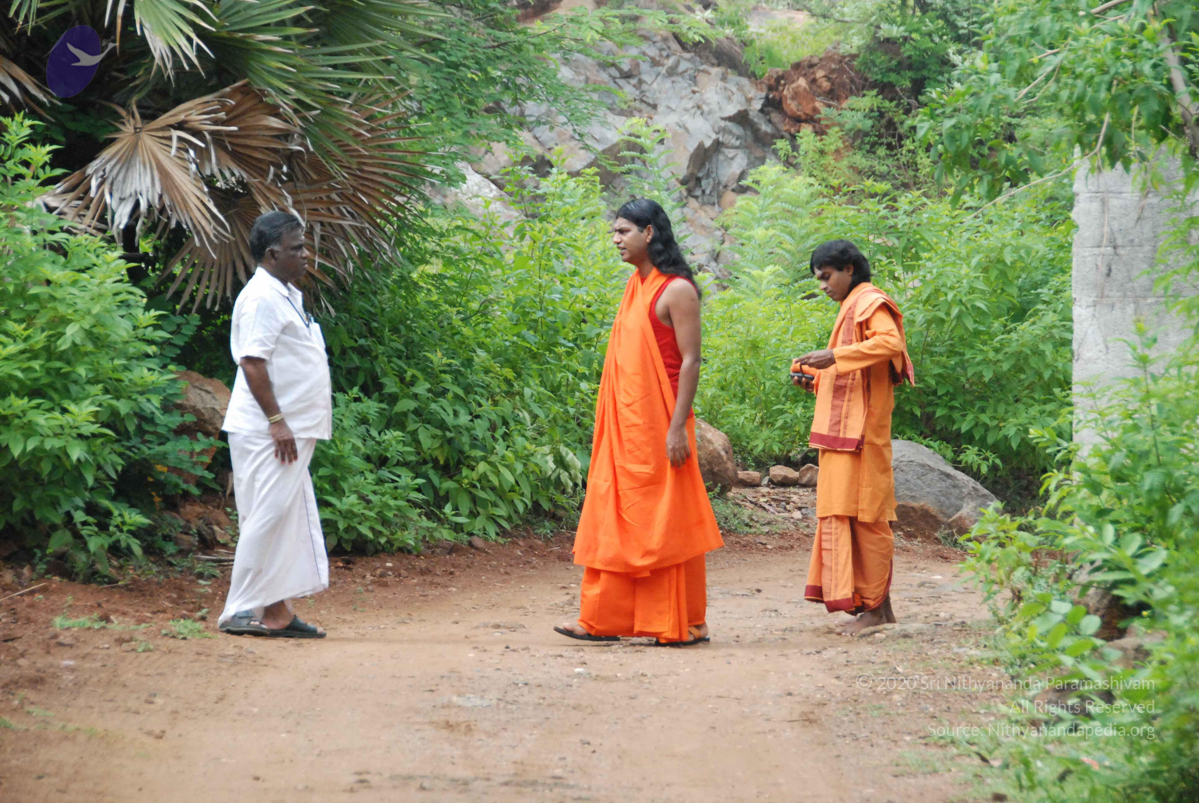 20090730_Photo_1002_DSC_0005_CMP_WM