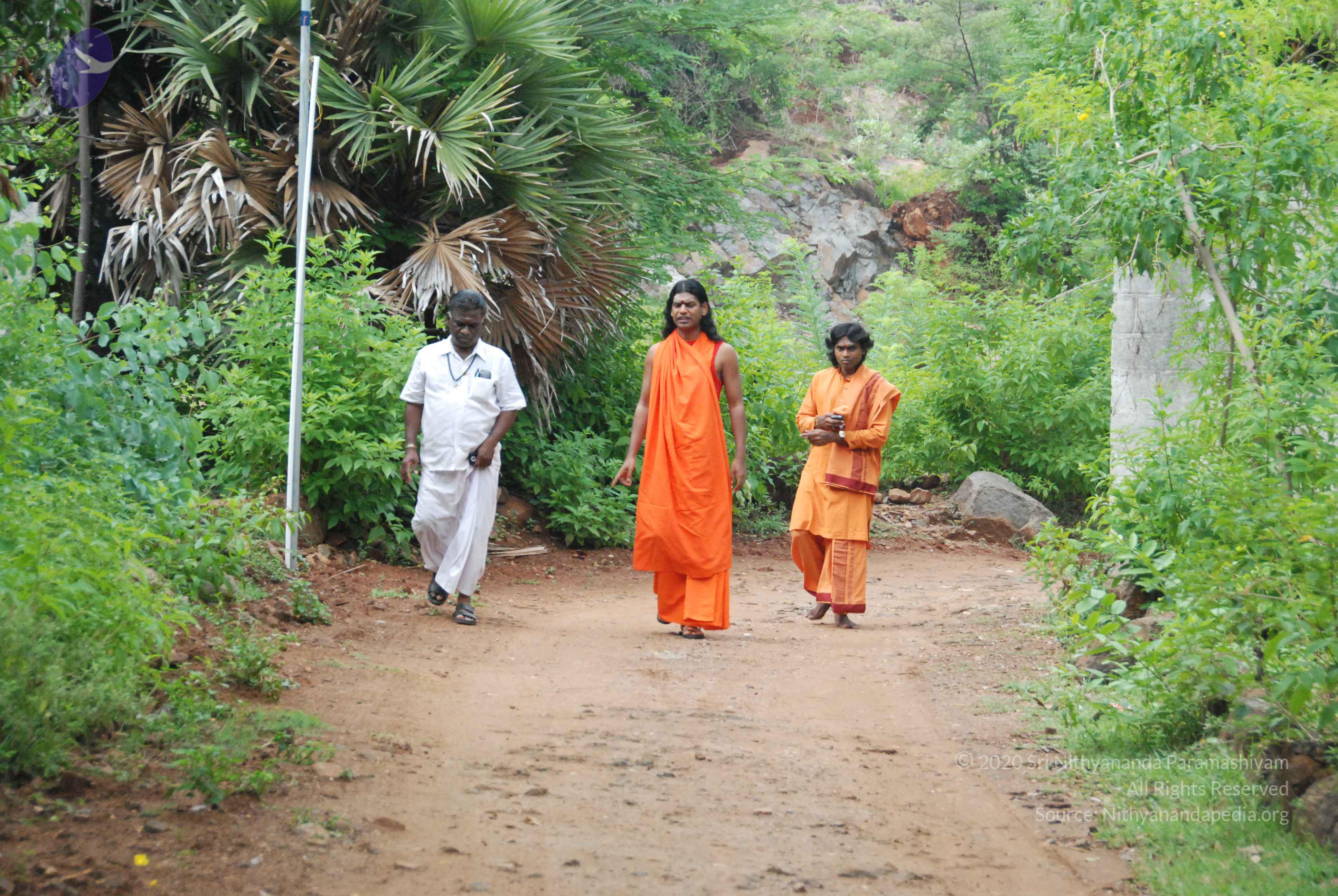 20090730_Photo_1003_DSC_0006_CMP_WM