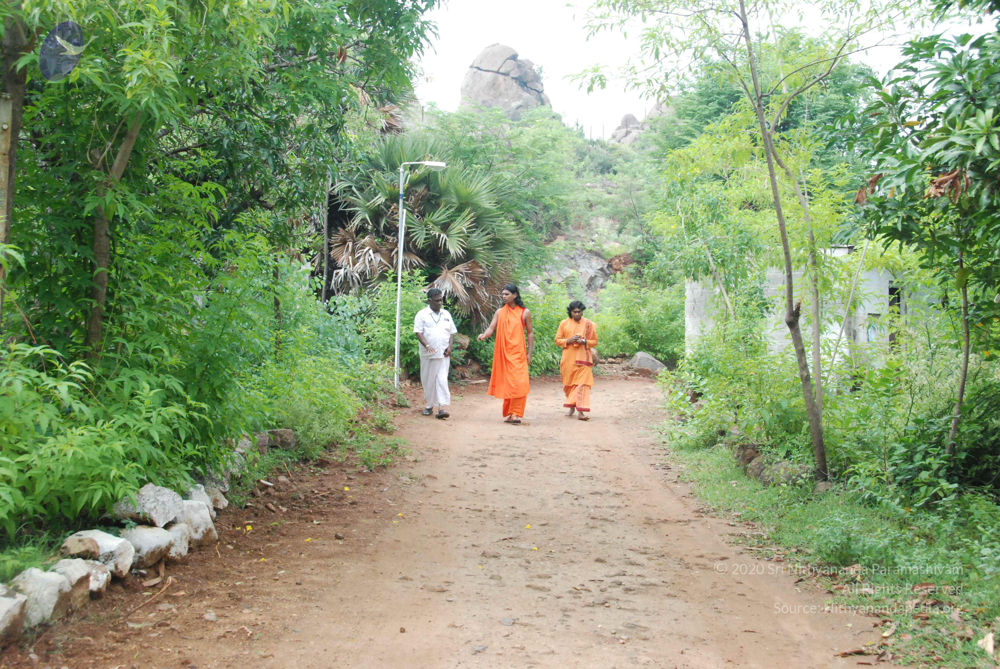 20090730_Photo_1004_DSC_0007_CMP_WM