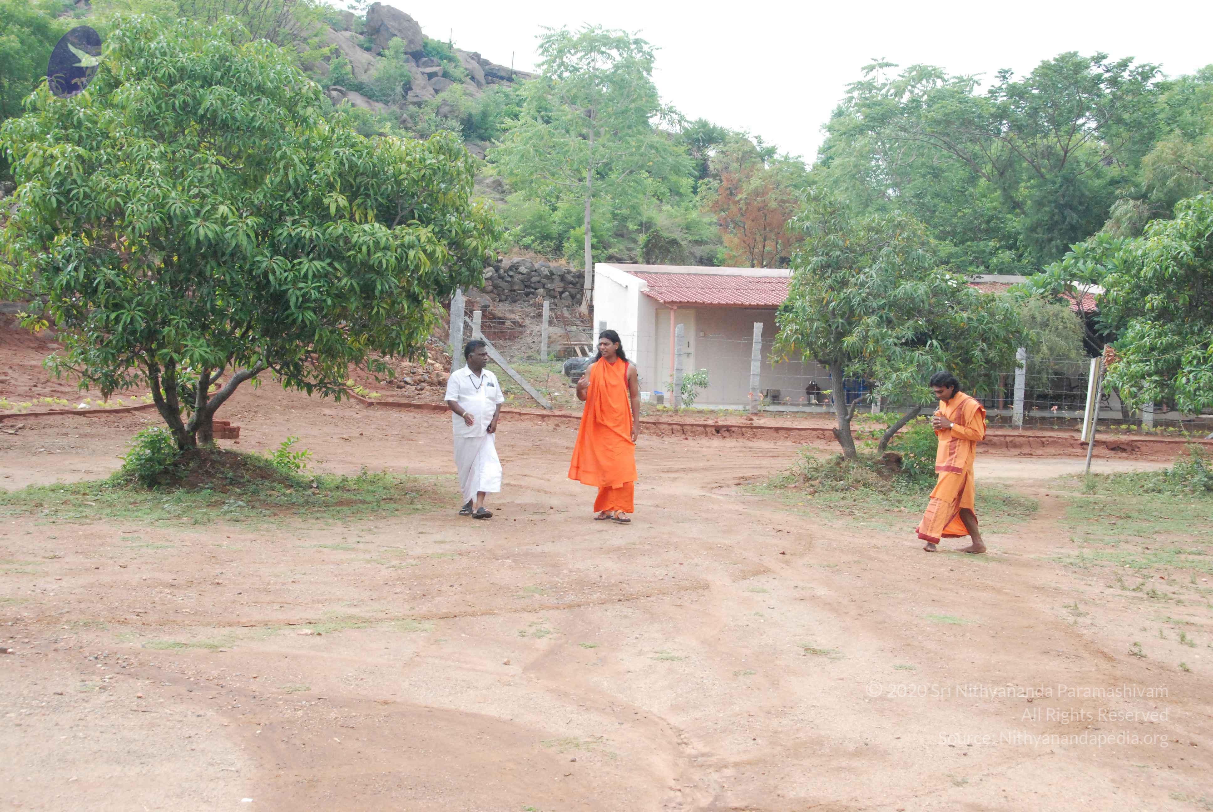 20090730_Photo_1005_DSC_0010_CMP_WM