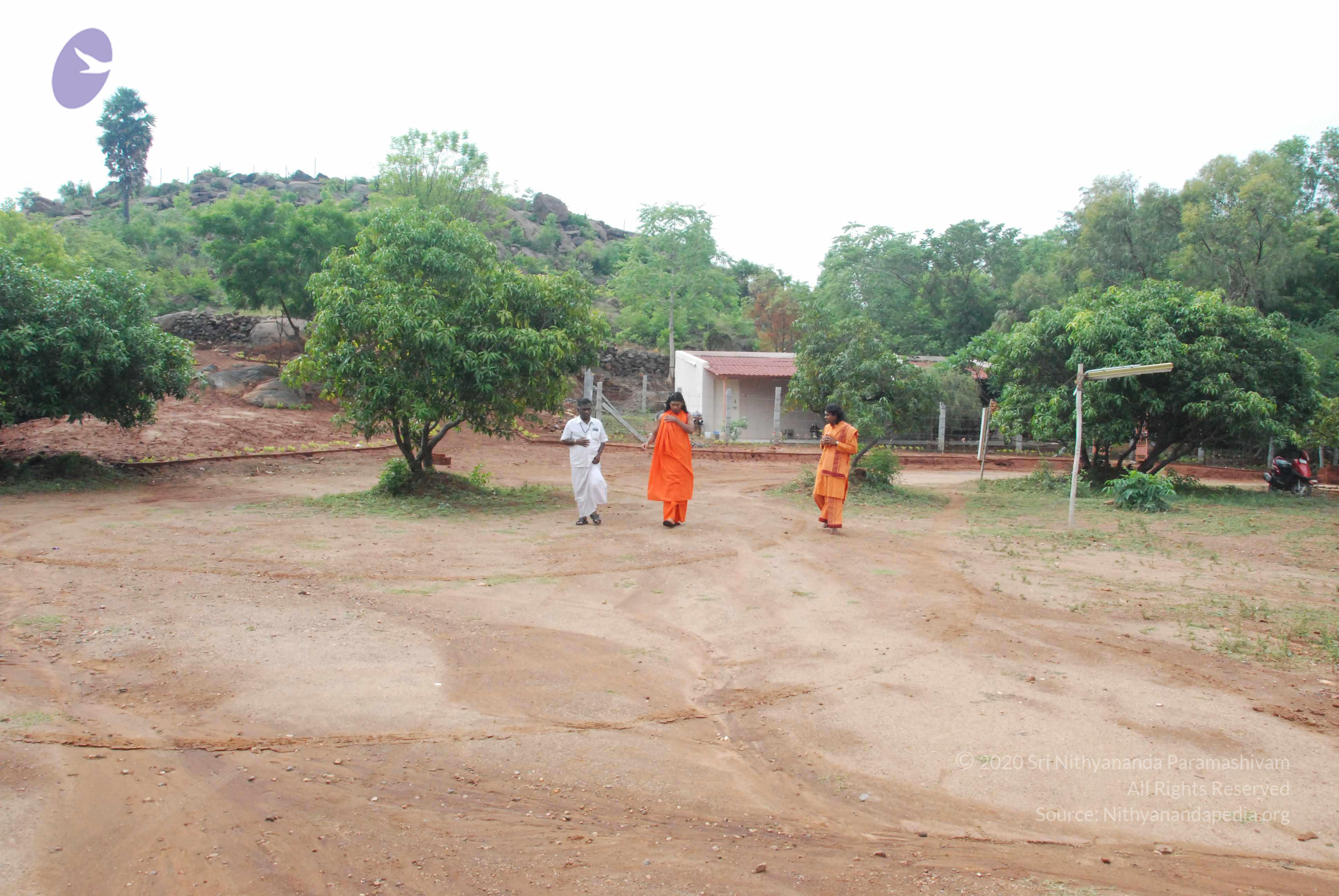 20090730_Photo_1006_DSC_0011_CMP_WM