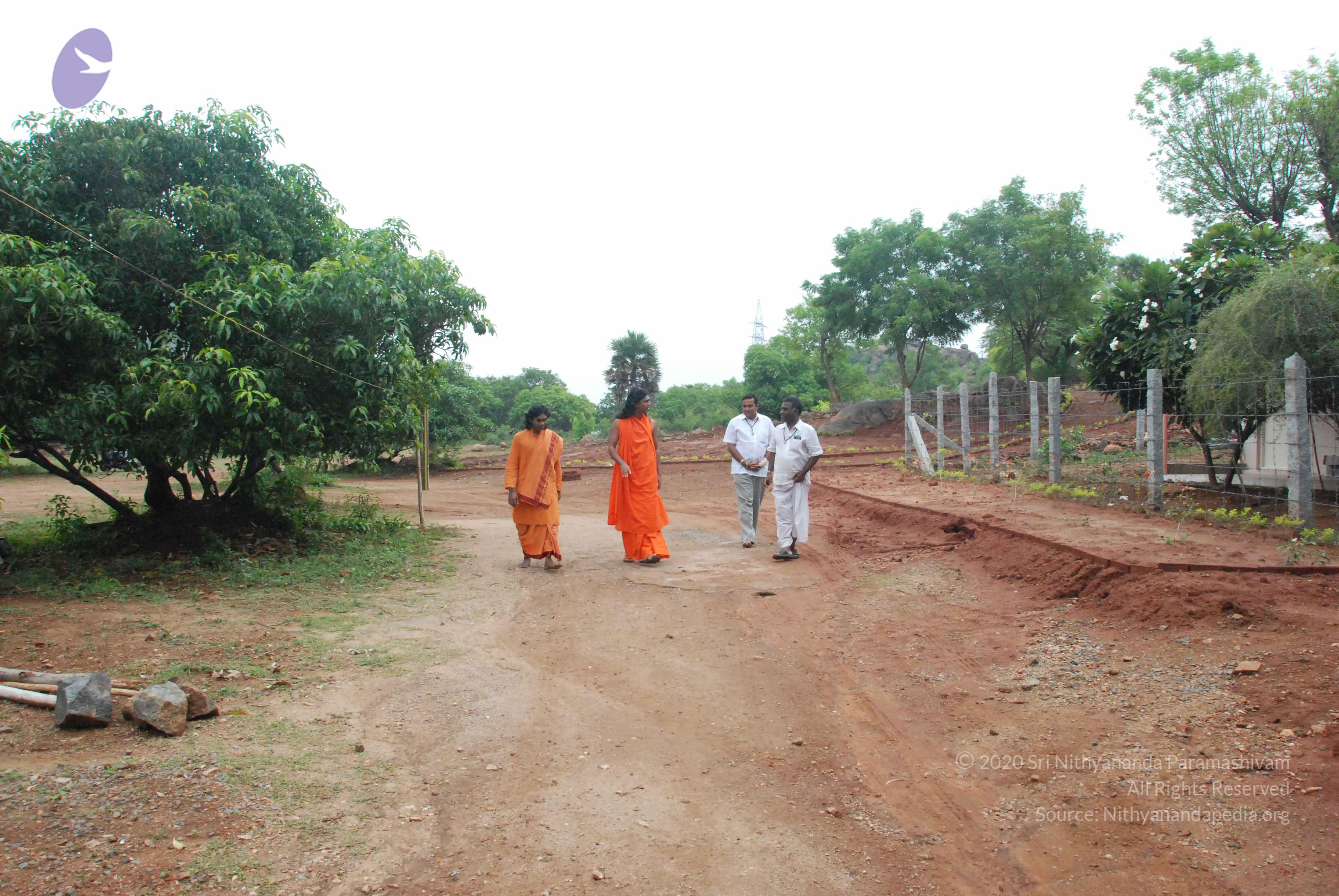 20090730_Photo_1011_DSC_0041_CMP_WM