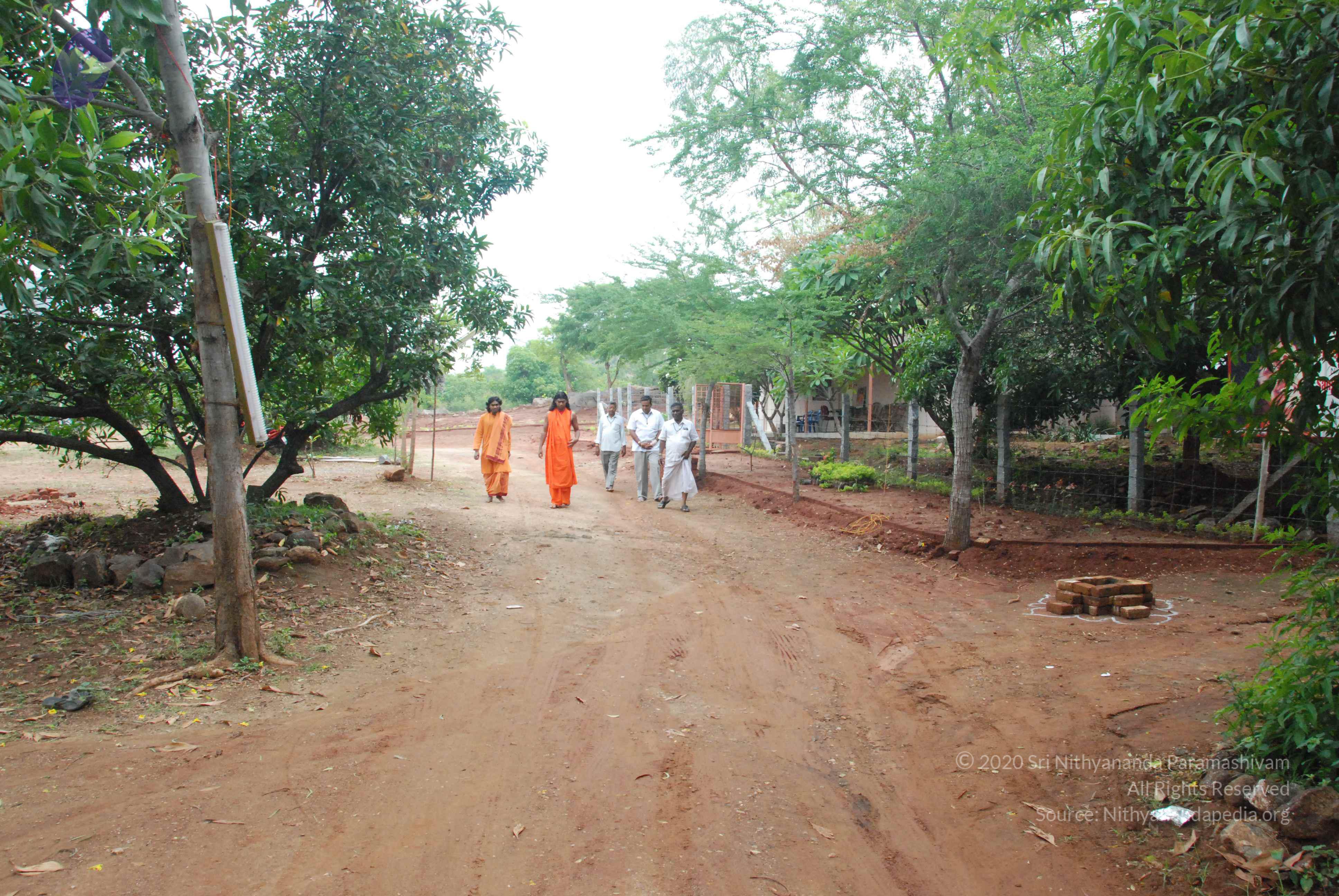 20090730_Photo_1014_DSC_0044_CMP_WM