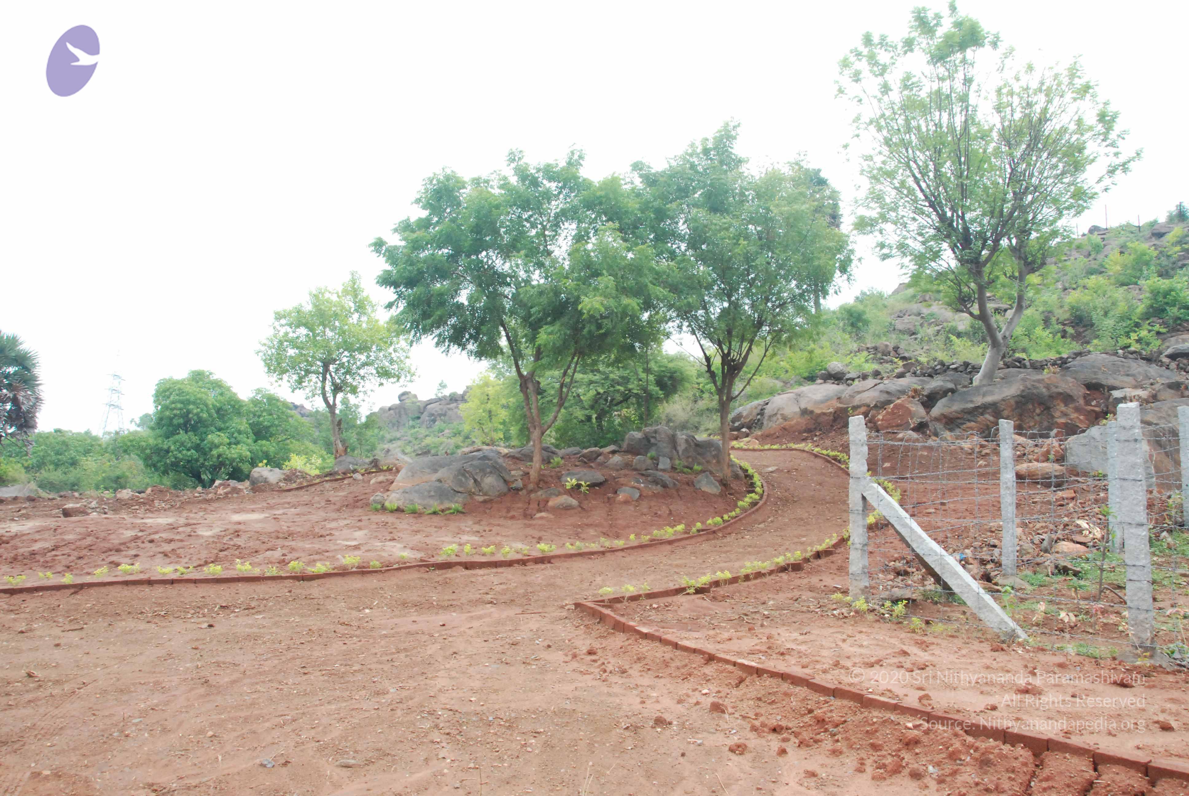 20090730_Photo_1017_DSC_0047_CMP_WM