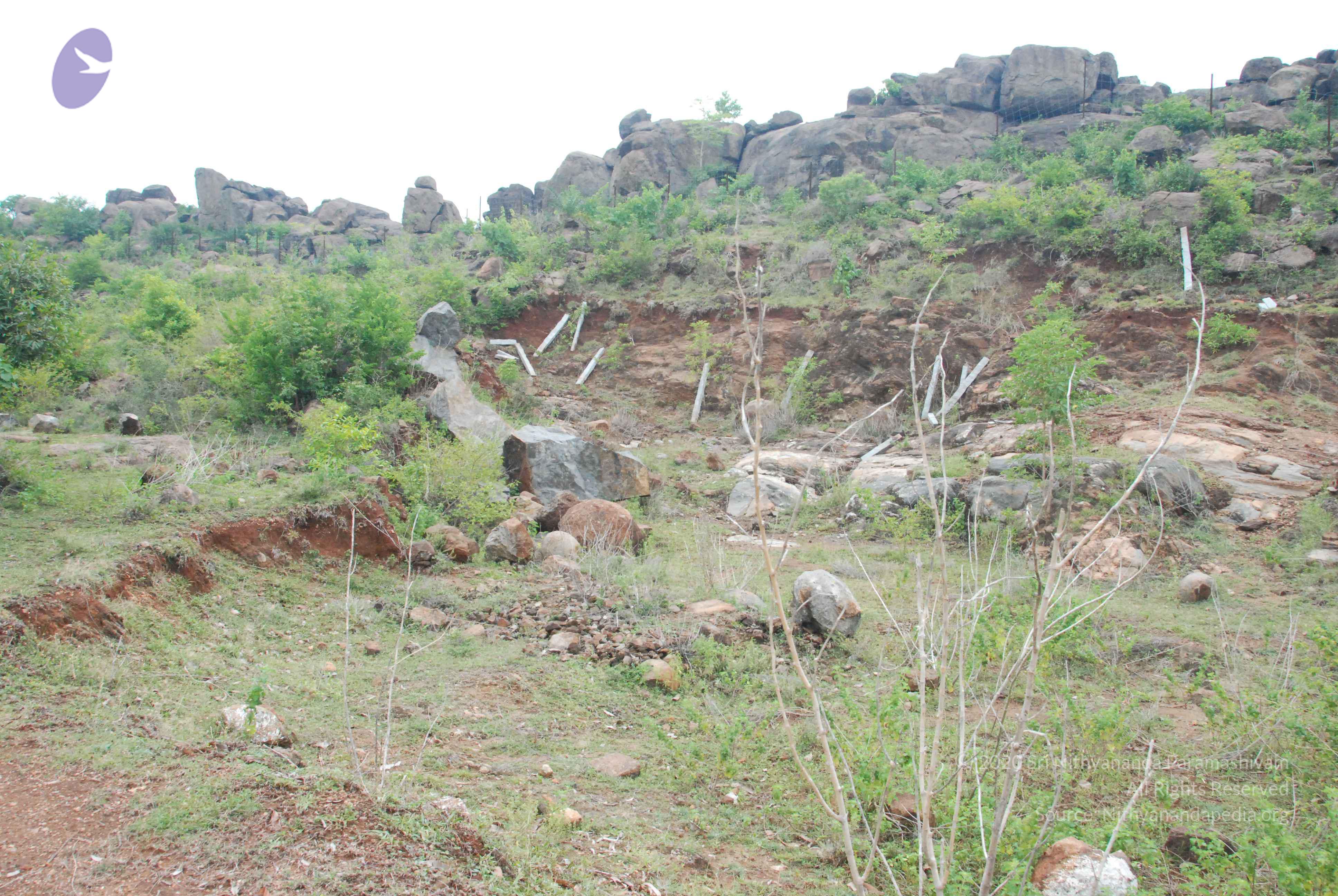 20090730_Photo_1018_DSC_0050_CMP_WM