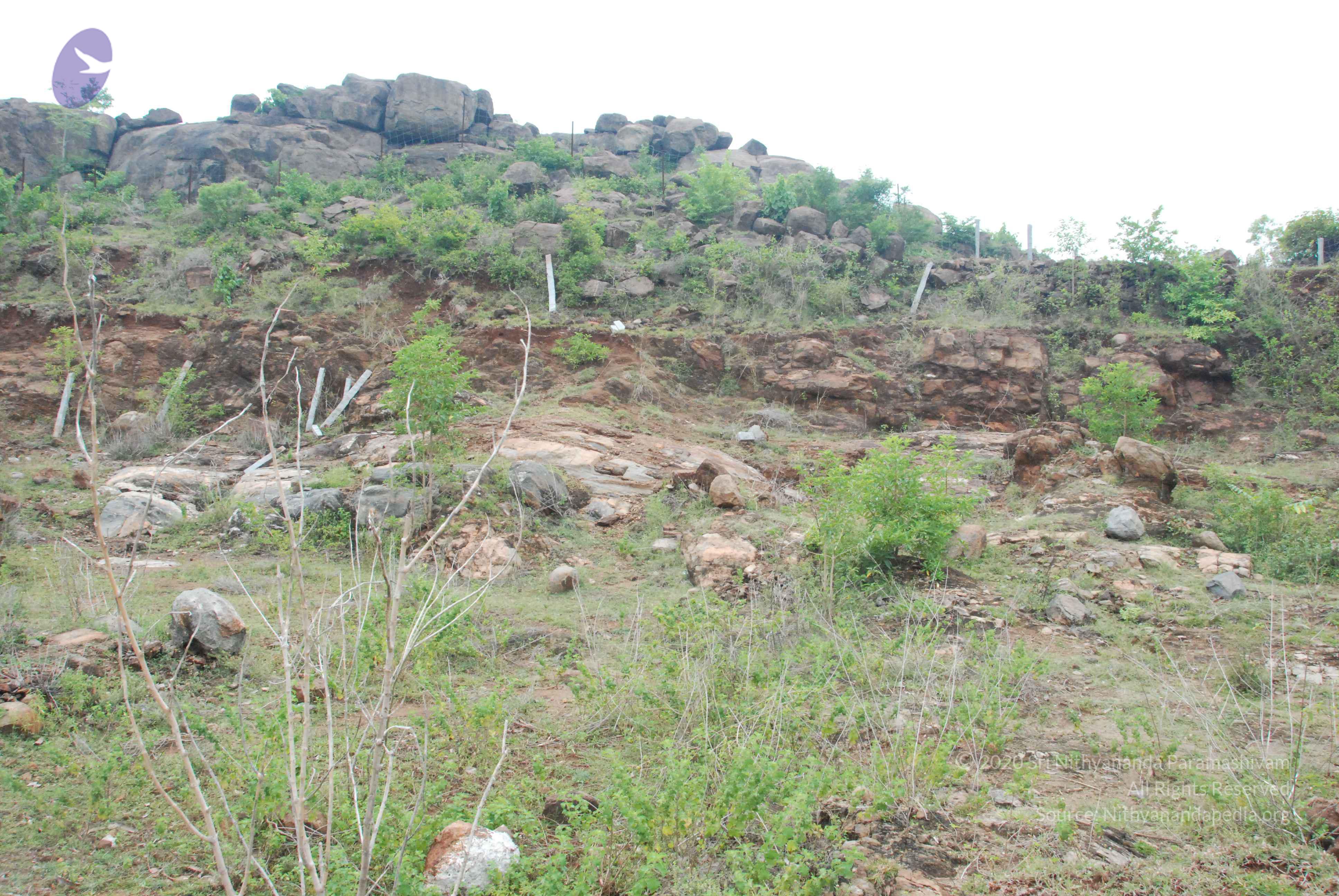 20090730_Photo_1019_DSC_0051_CMP_WM