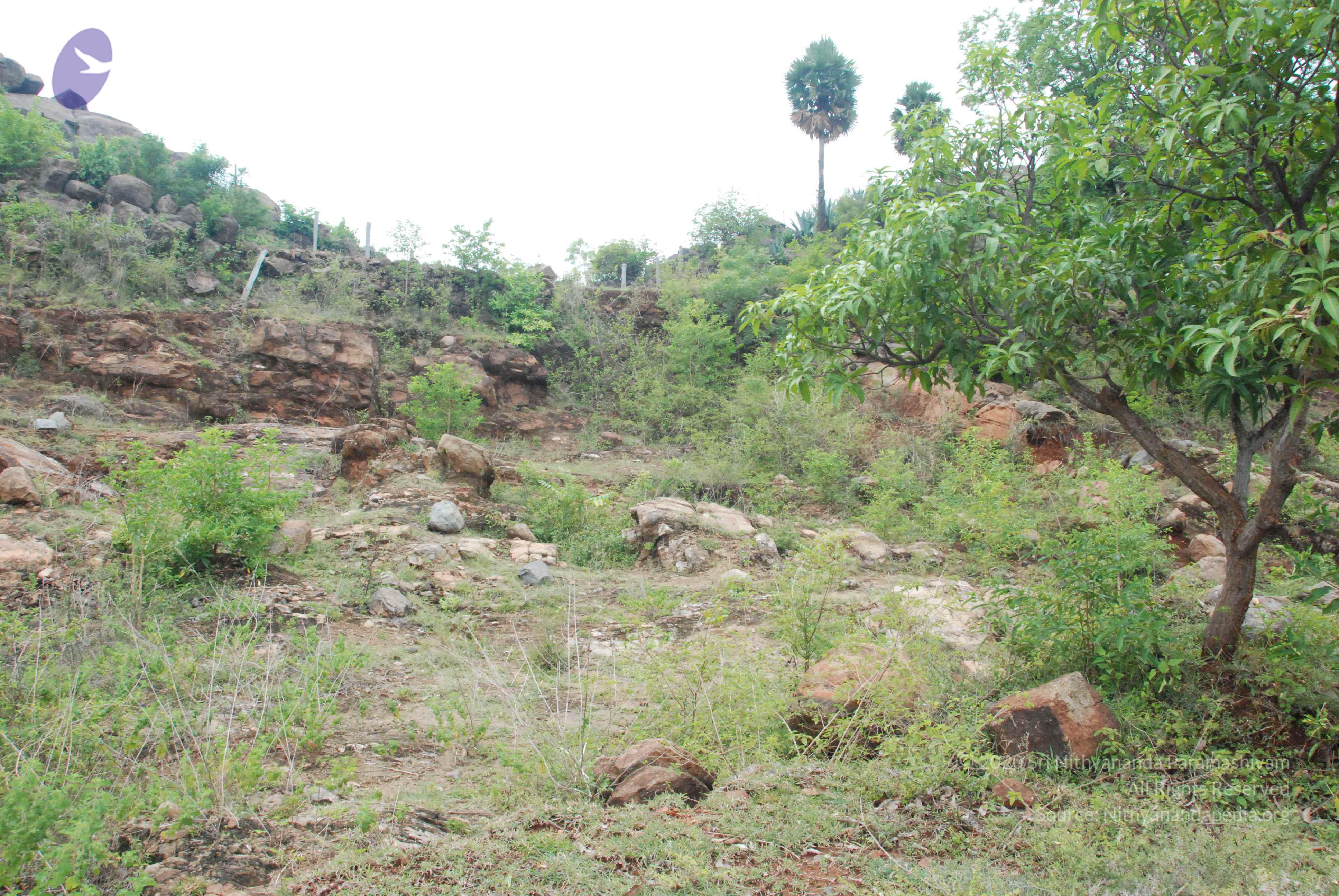 20090730_Photo_1020_DSC_0052_CMP_WM