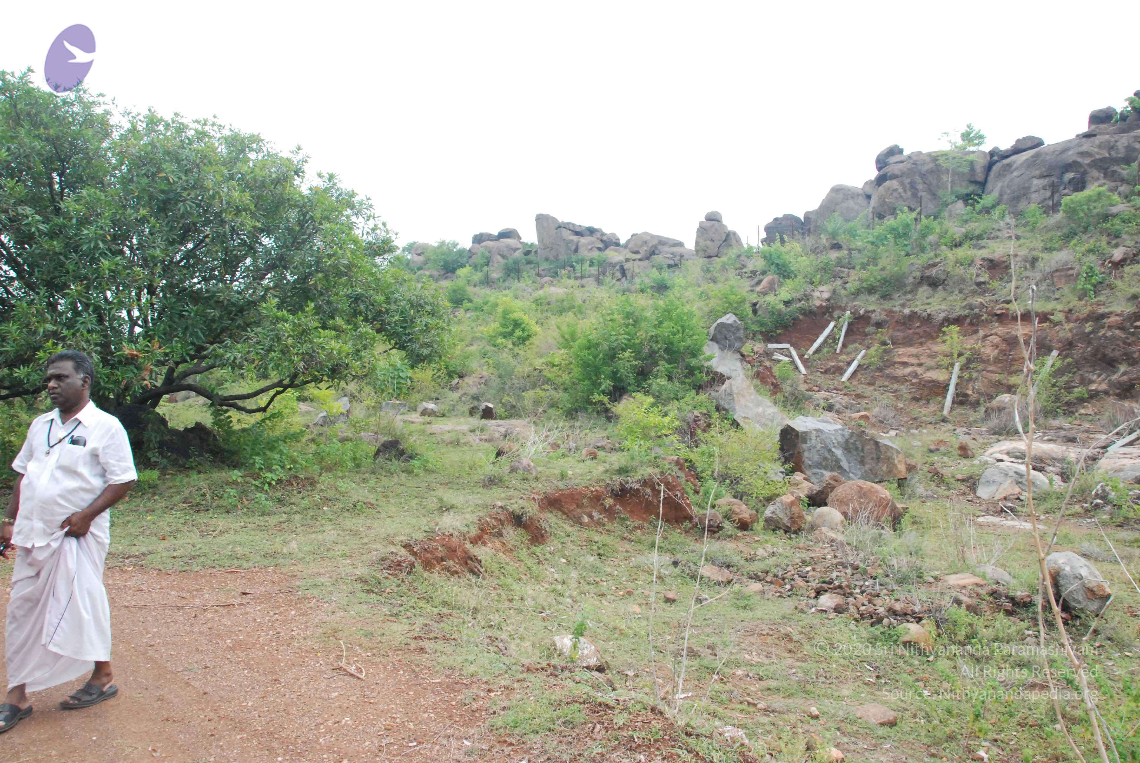 20090730_Photo_1021_DSC_0053_CMP_WM