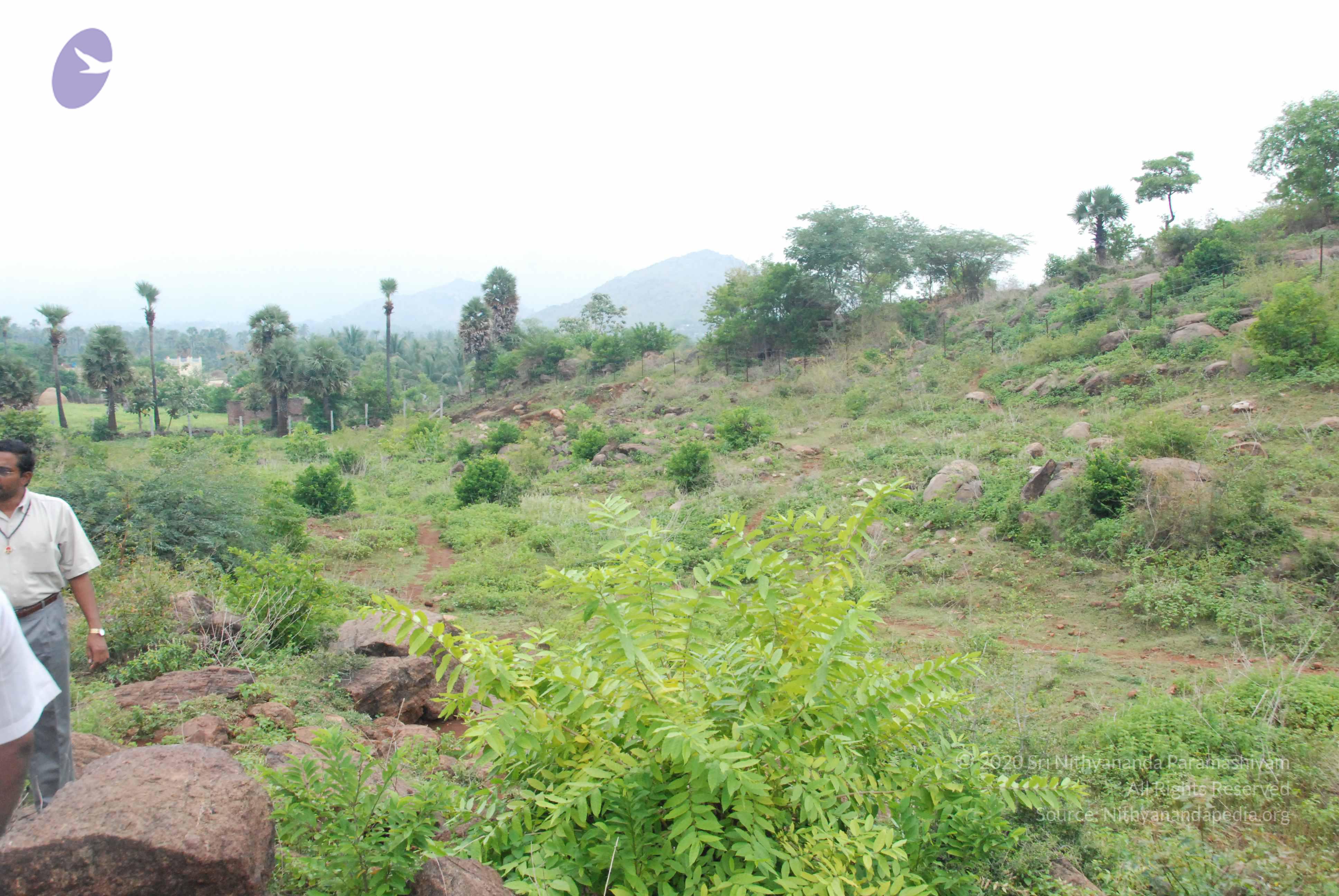 20090730_Photo_1022_DSC_0069_CMP_WM