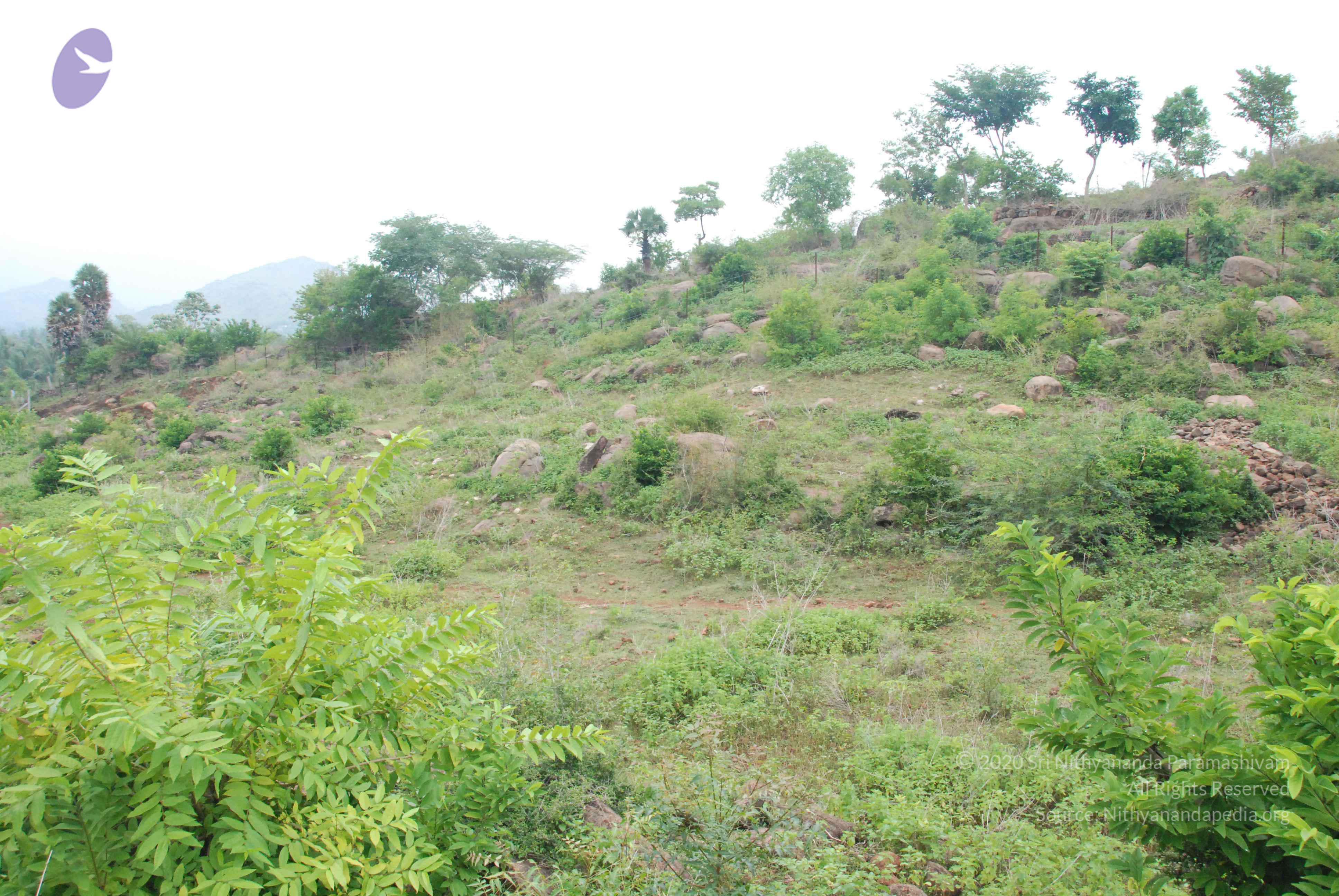 20090730_Photo_1023_DSC_0073_CMP_WM