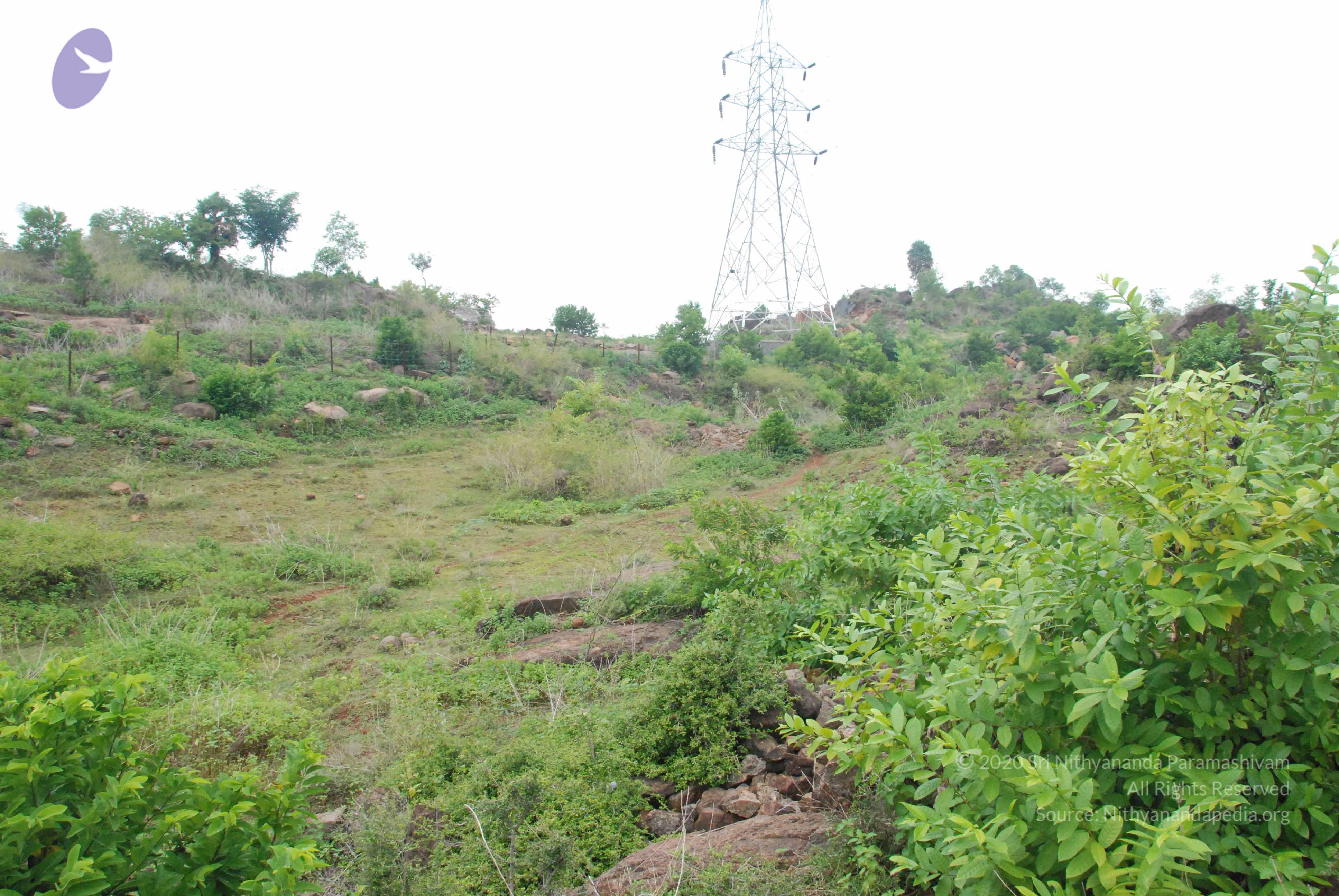 20090730_Photo_1024_DSC_0076_CMP_WM