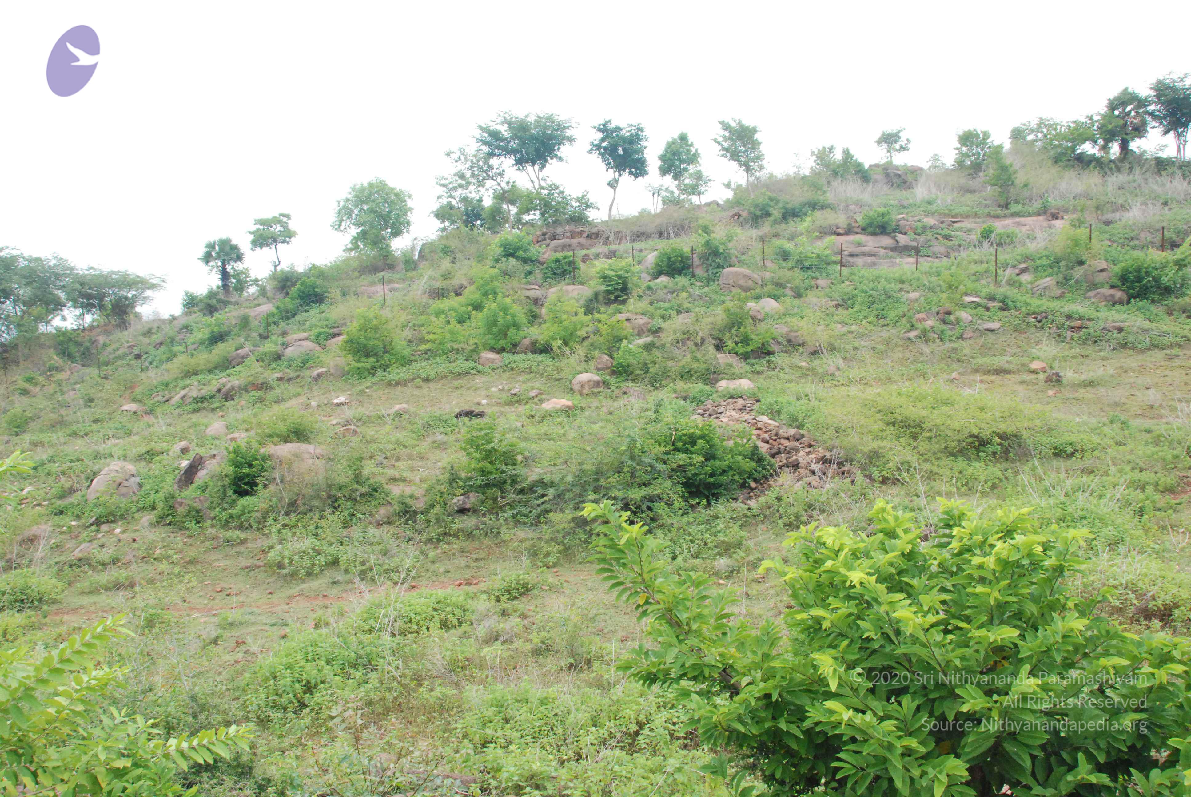 20090730_Photo_1026_DSC_0078_CMP_WM