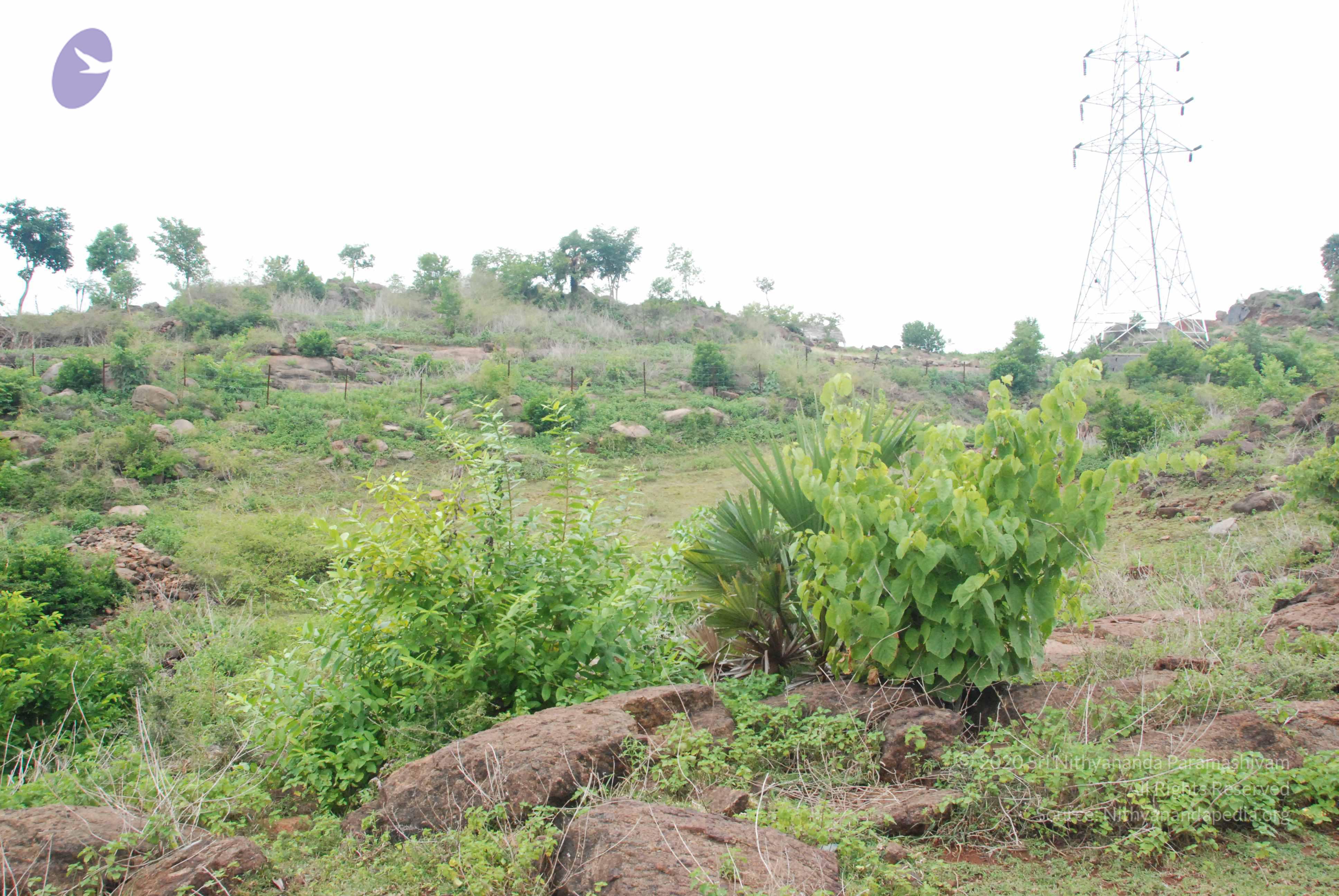 20090730_Photo_1029_DSC_0086_CMP_WM