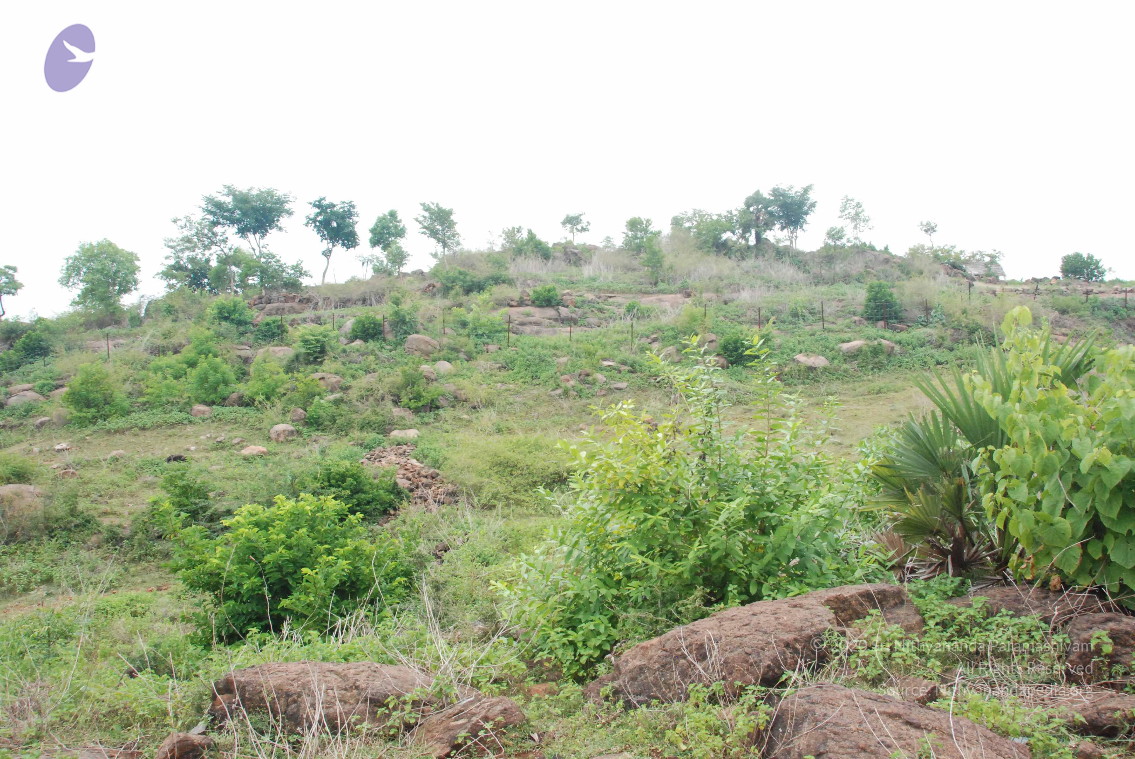 20090730_Photo_1030_DSC_0087_CMP_WM