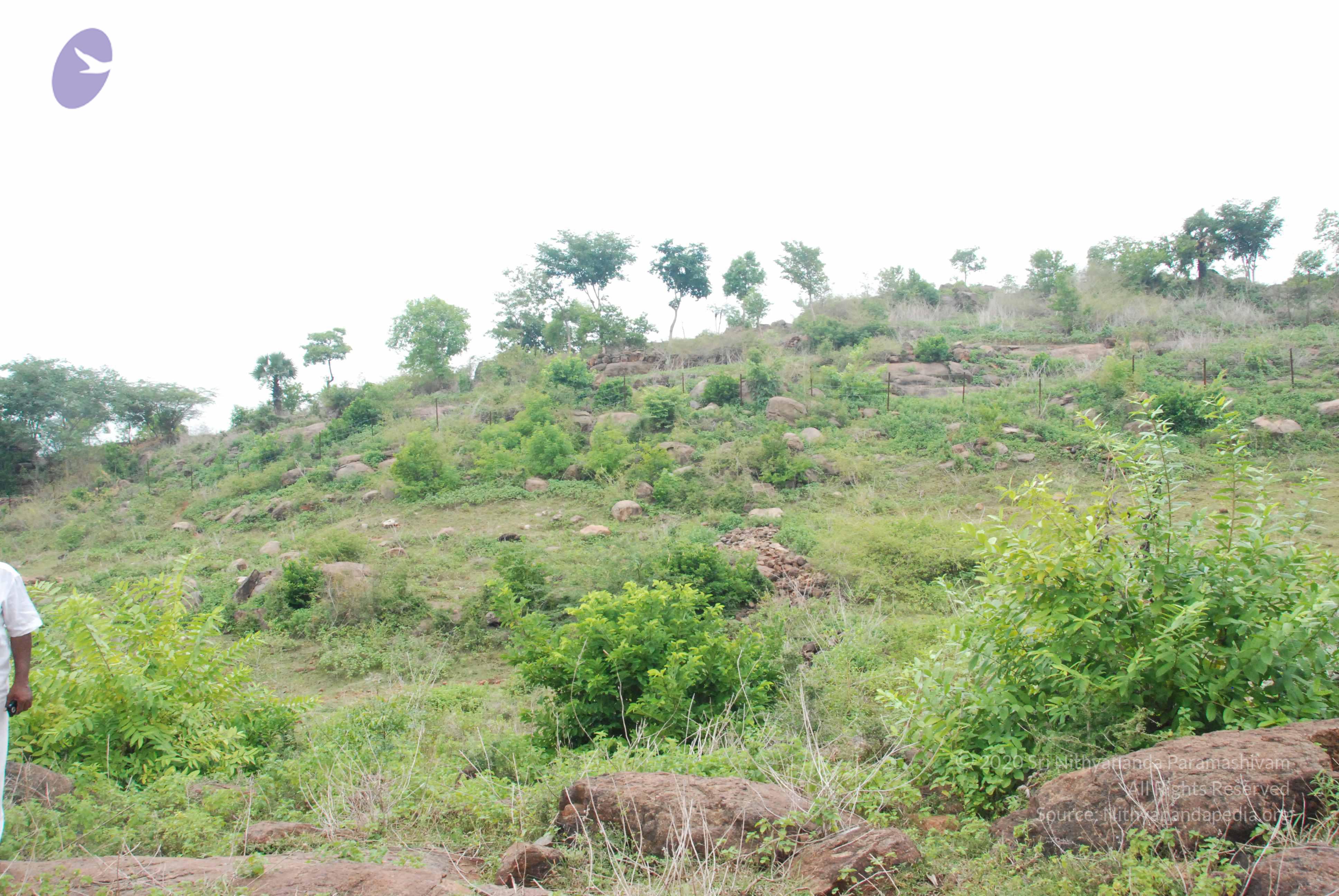 20090730_Photo_1031_DSC_0088_CMP_WM