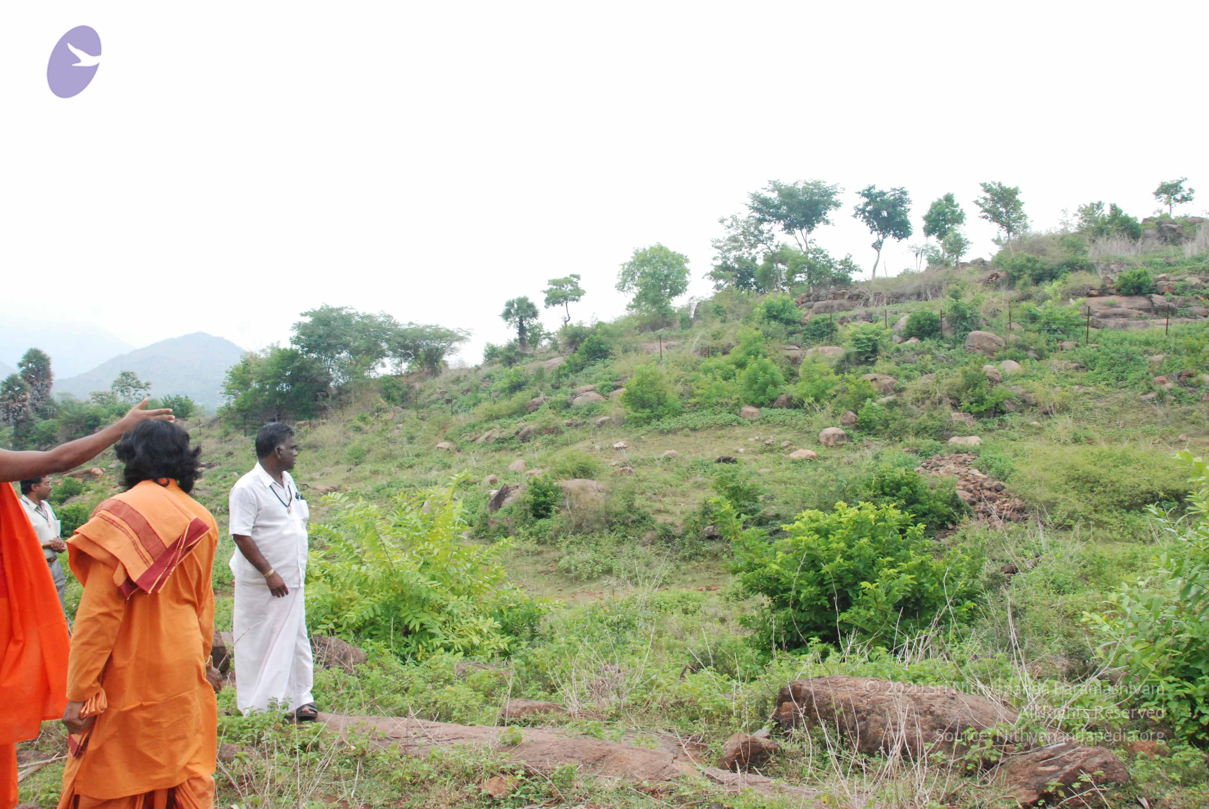 20090730_Photo_1032_DSC_0089_CMP_WM