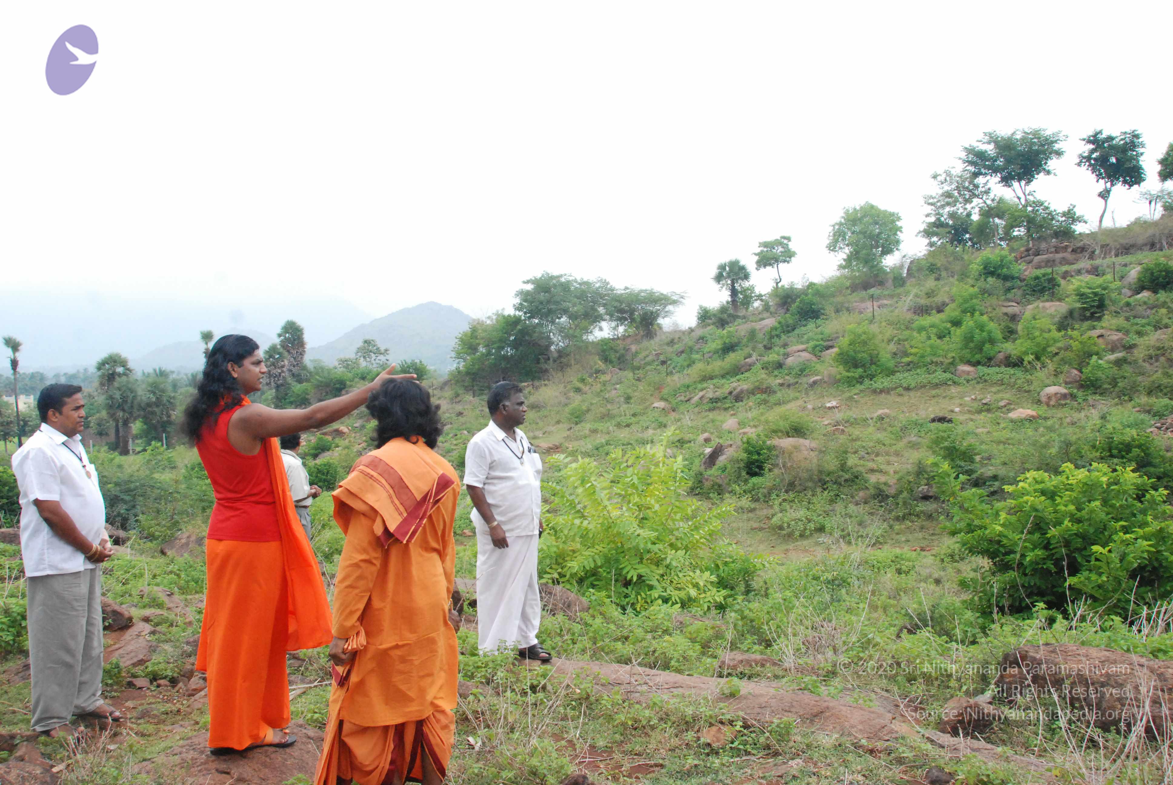 20090730_Photo_1033_DSC_0090_CMP_WM