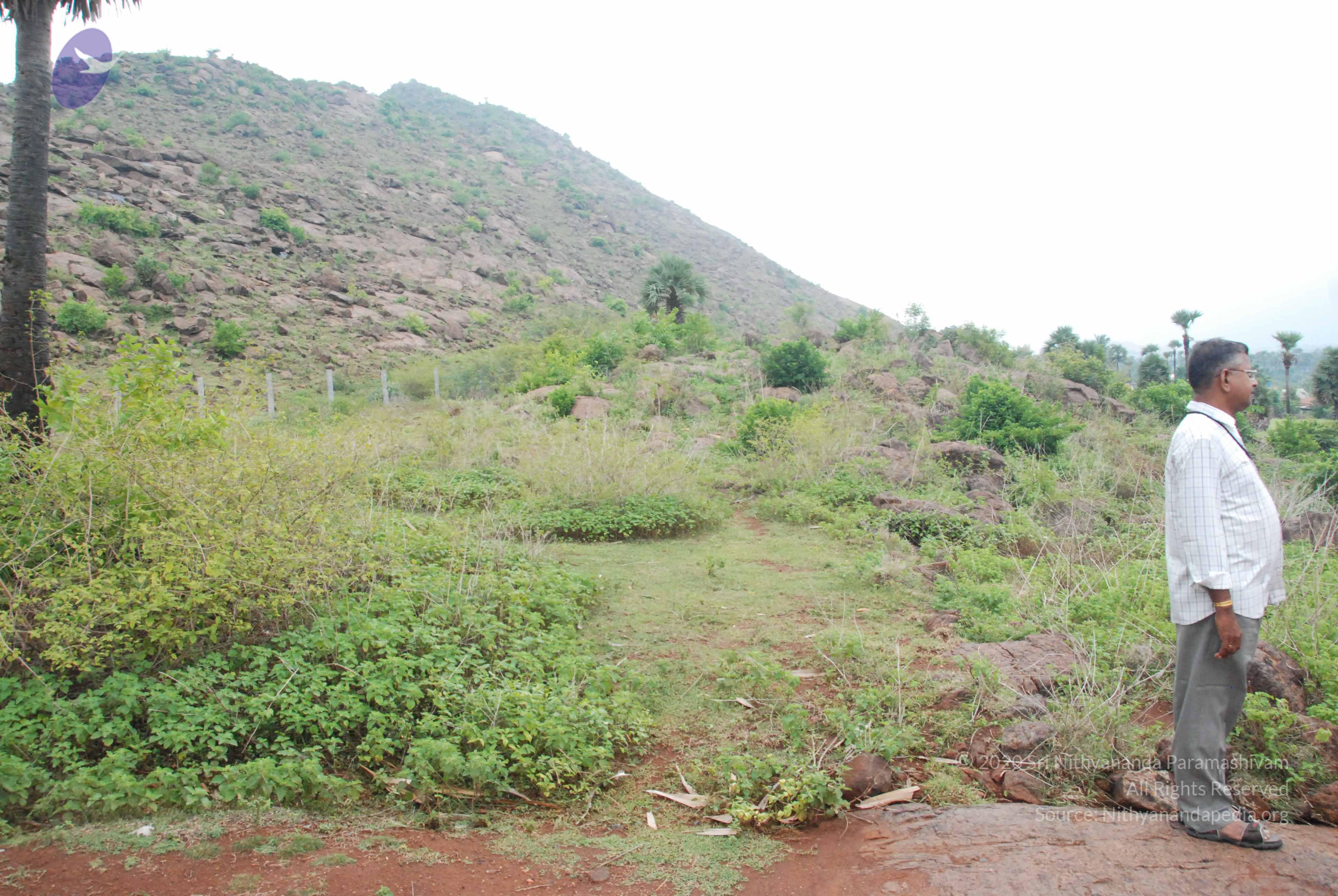 20090730_Photo_1034_DSC_0093_CMP_WM