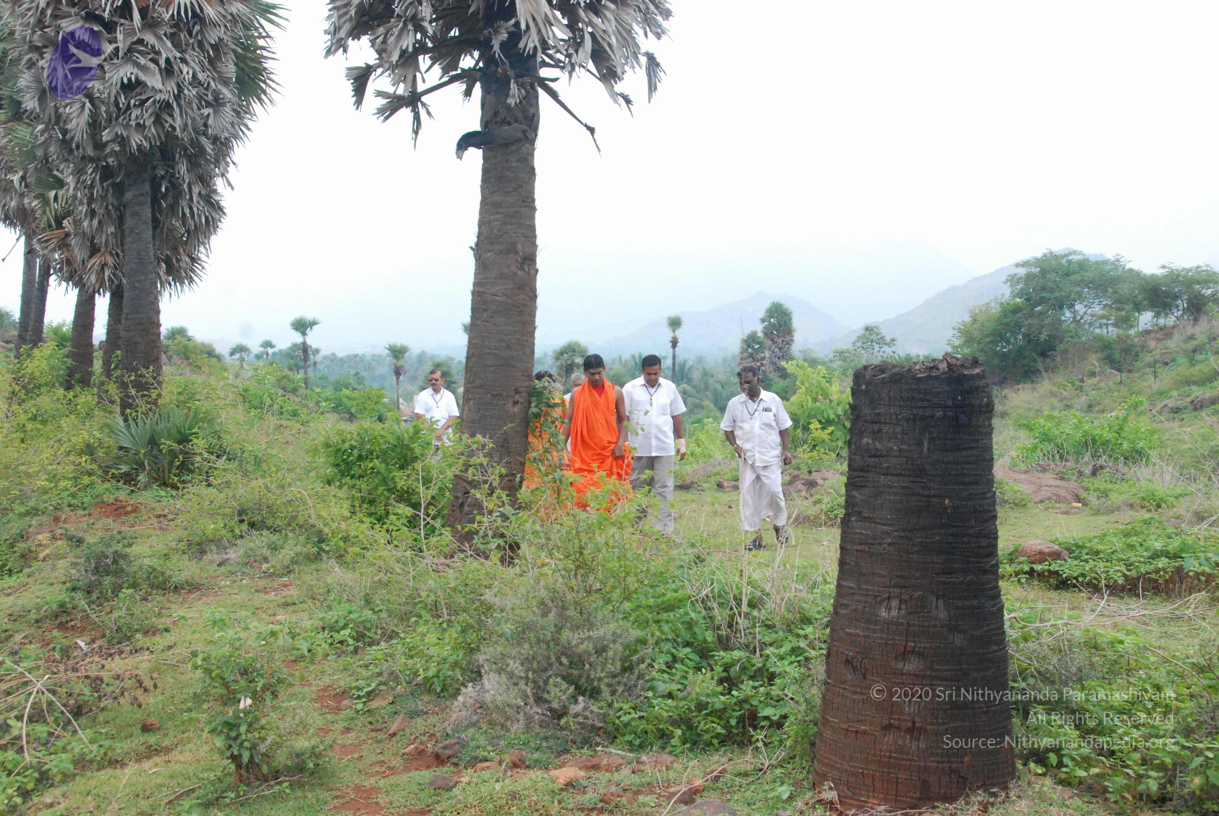 20090730_Photo_1035_DSC_0098_CMP_WM