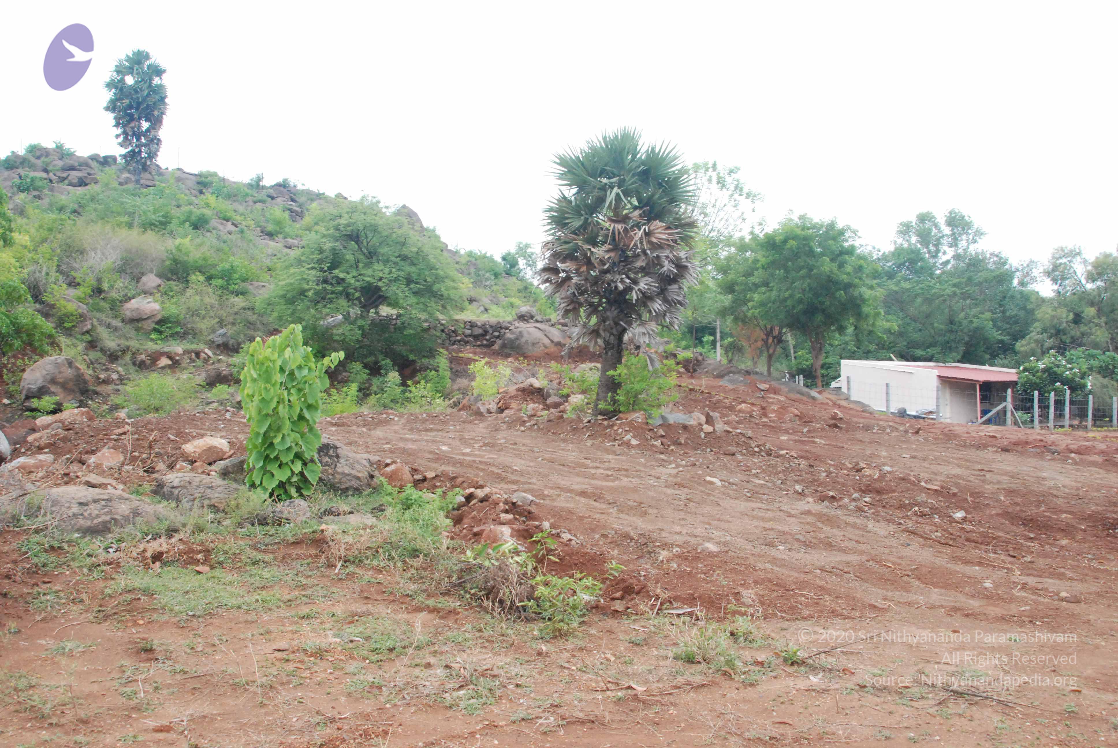 20090730_Photo_1040_DSC_0104_CMP_WM