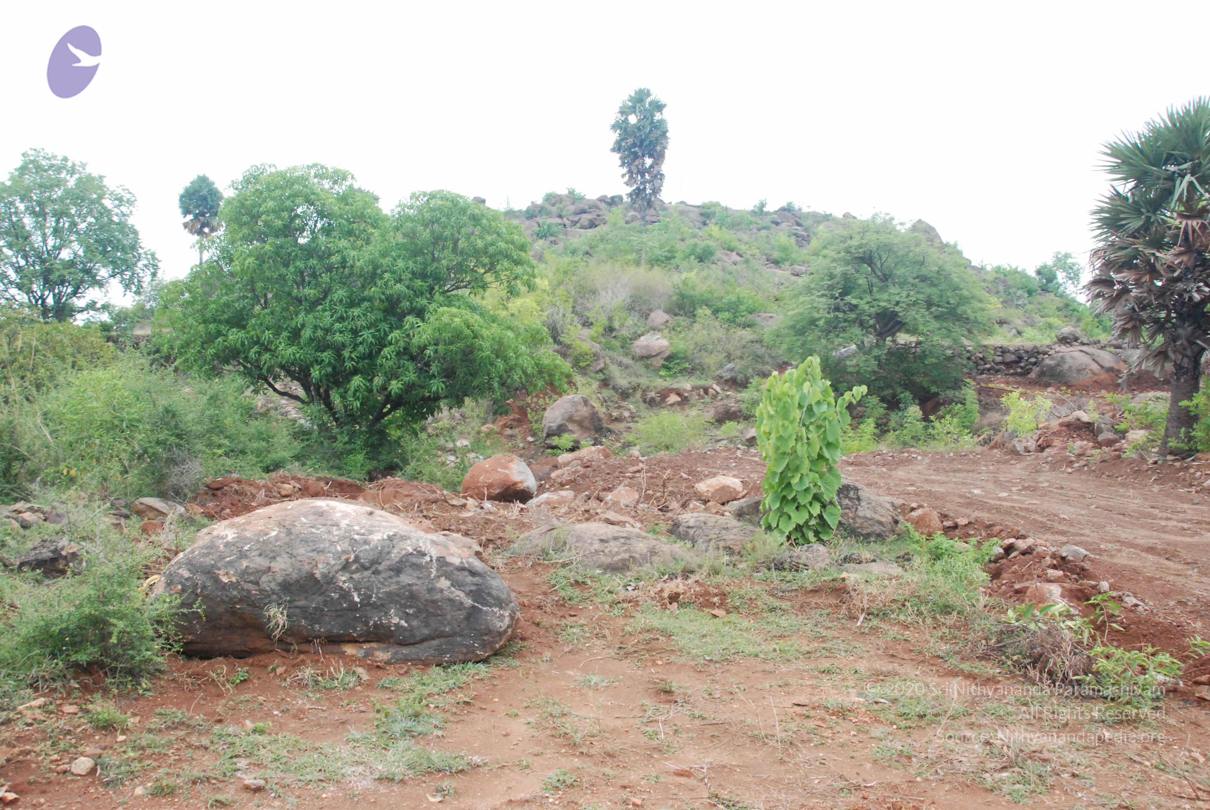 20090730_Photo_1041_DSC_0105_CMP_WM