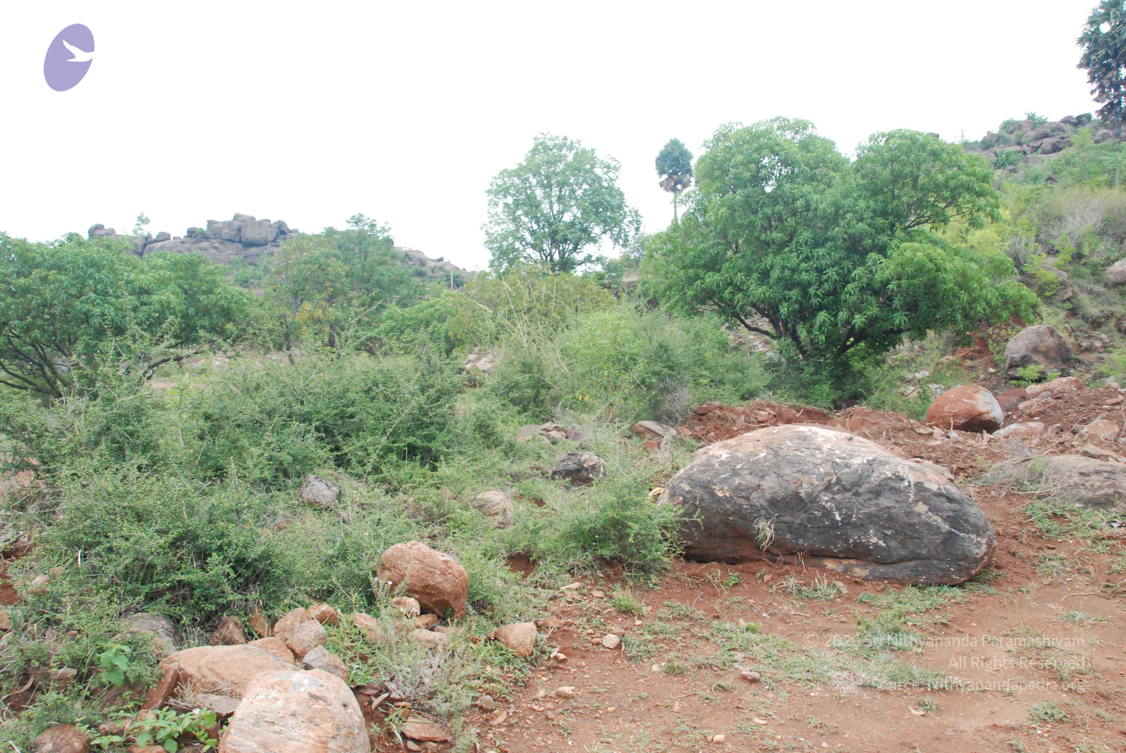 20090730_Photo_1042_DSC_0106_CMP_WM