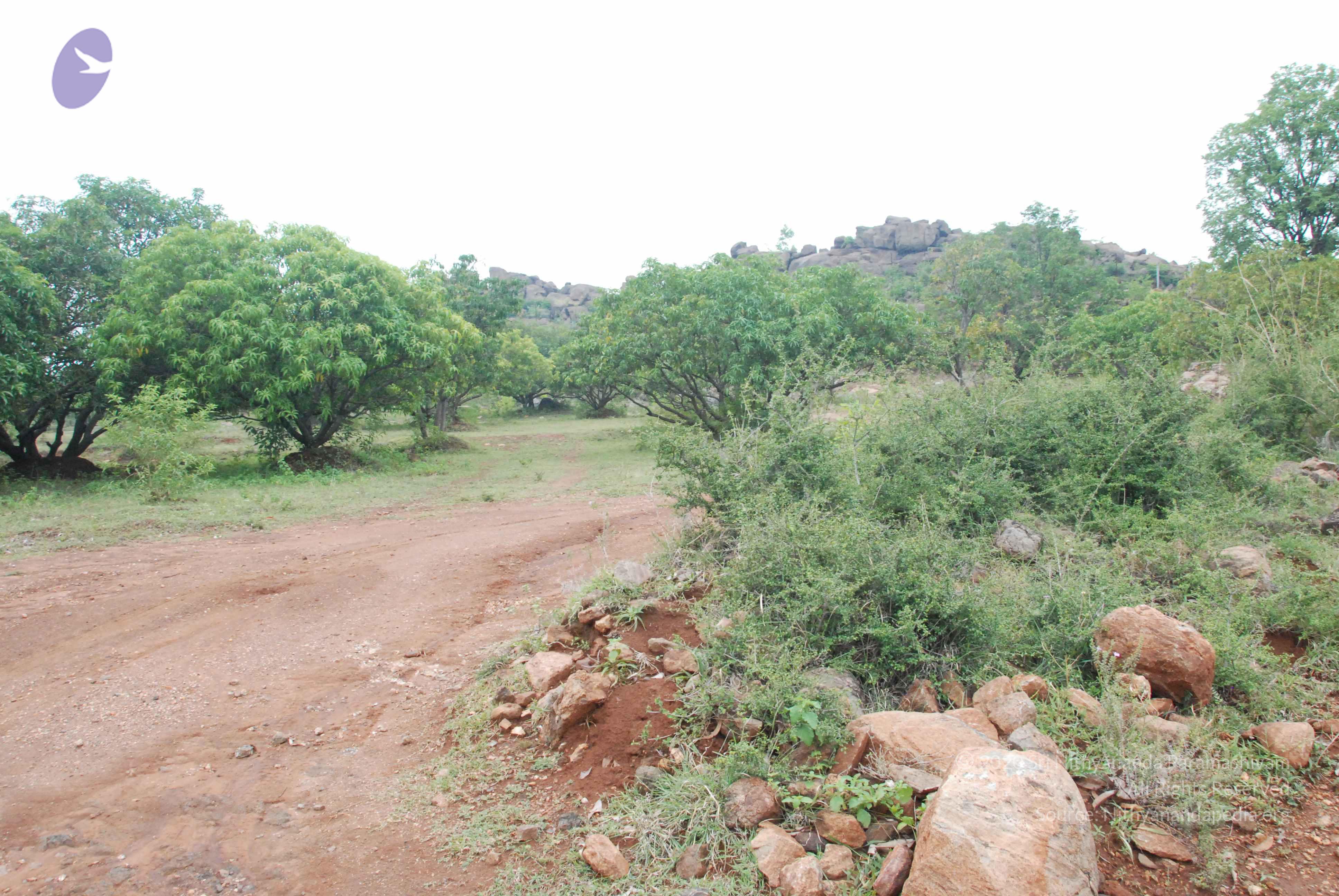 20090730_Photo_1043_DSC_0107_CMP_WM