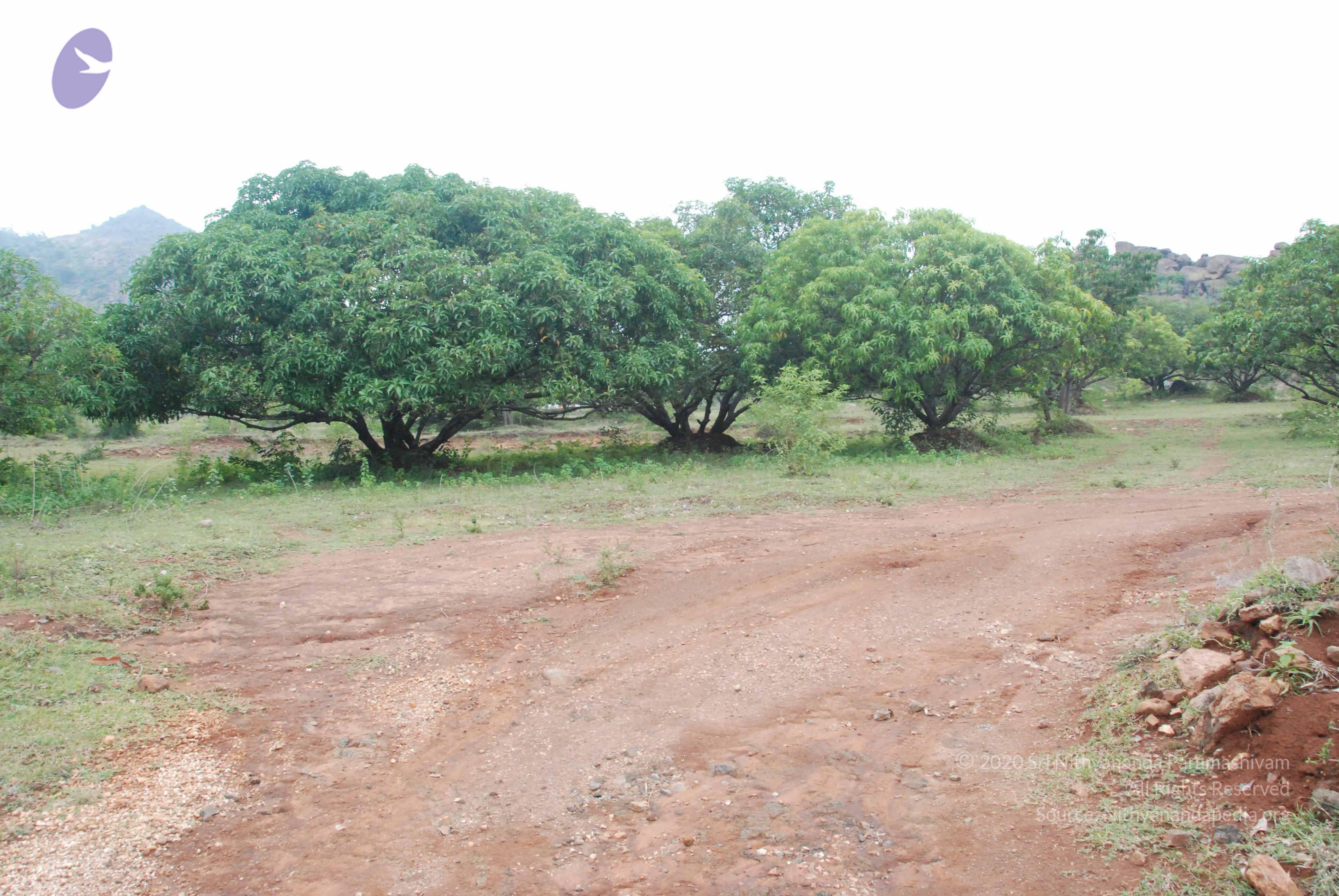 20090730_Photo_1044_DSC_0108_CMP_WM