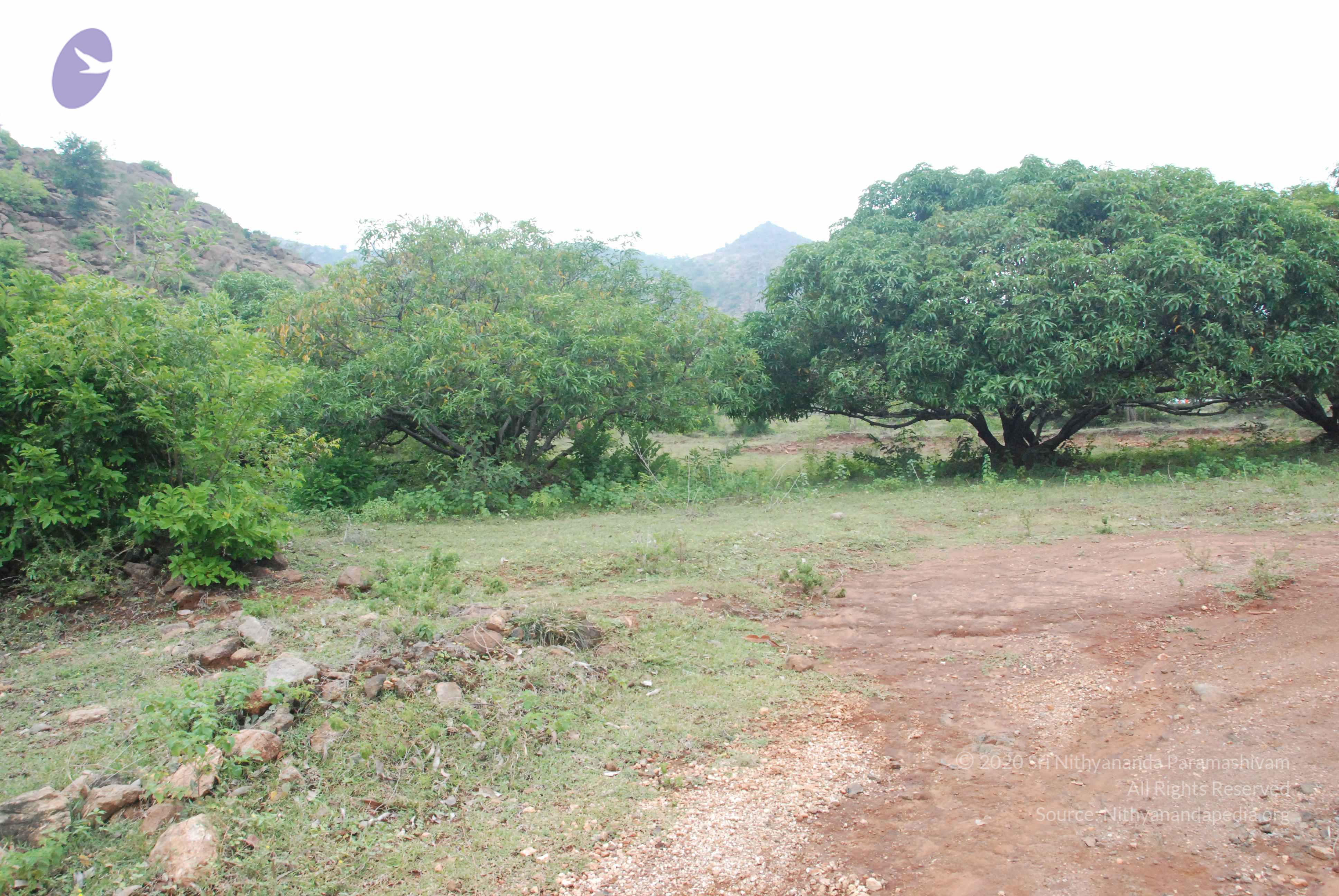 20090730_Photo_1045_DSC_0109_CMP_WM