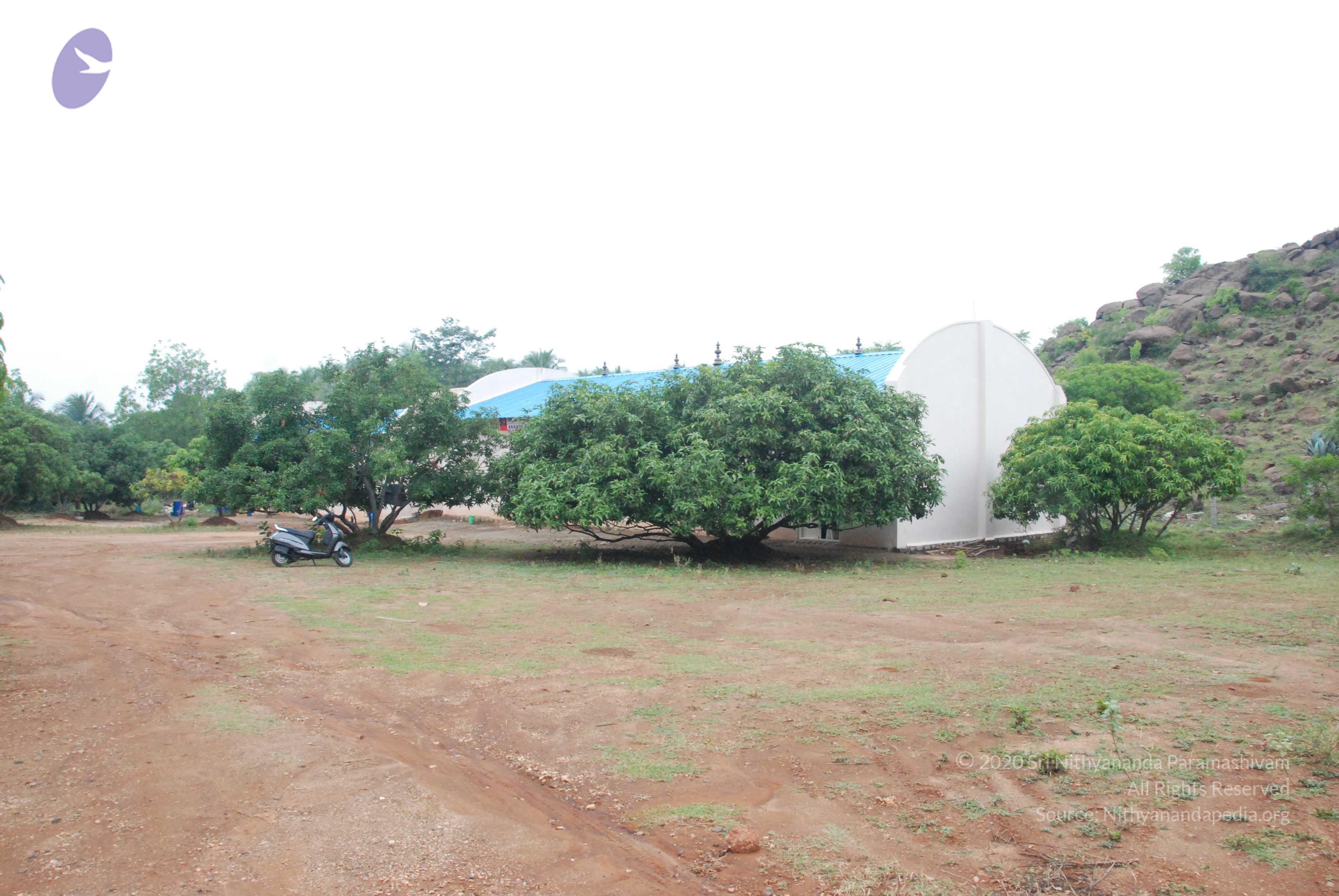 20090730_Photo_1046_DSC_0110_CMP_WM