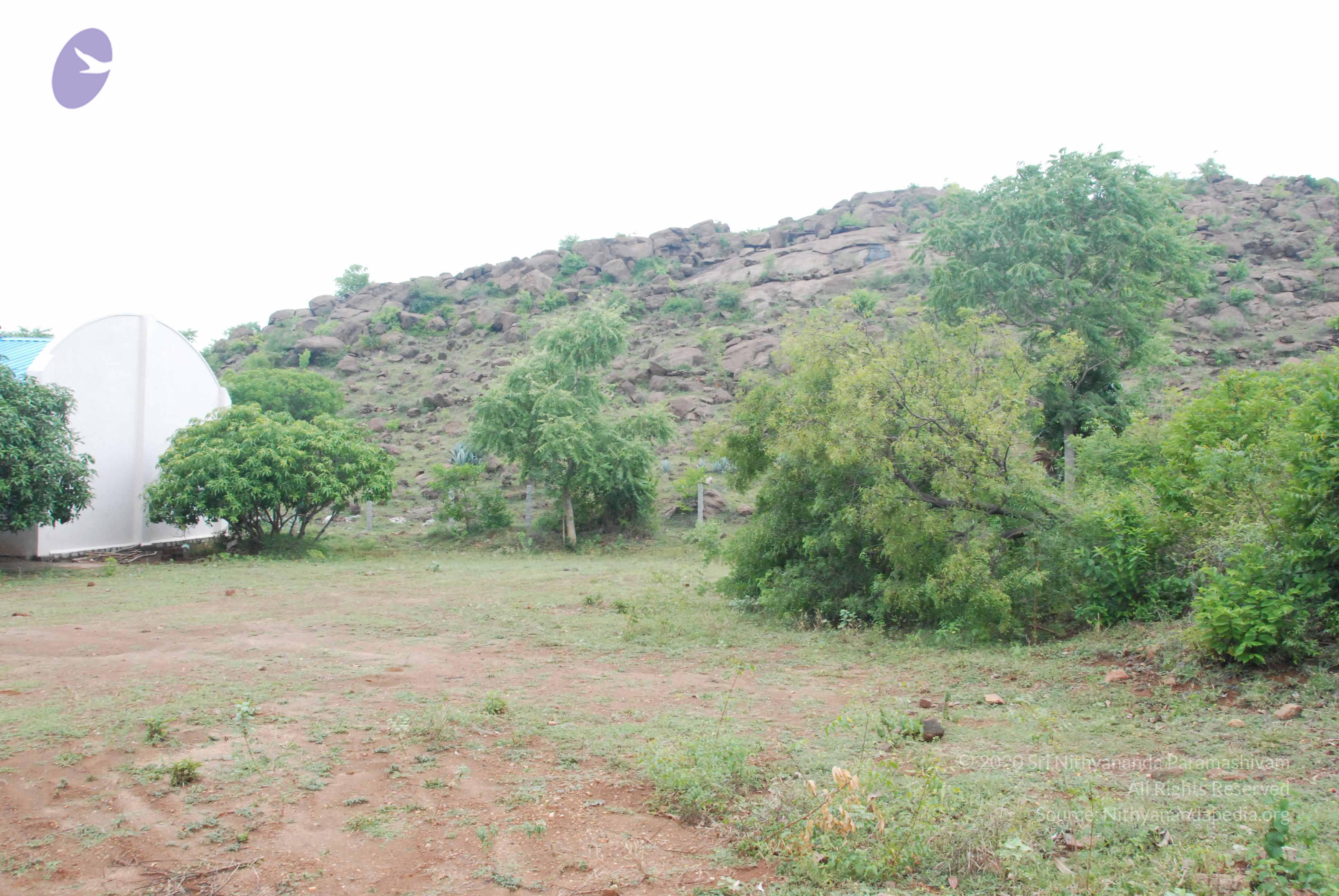 20090730_Photo_1047_DSC_0111_CMP_WM