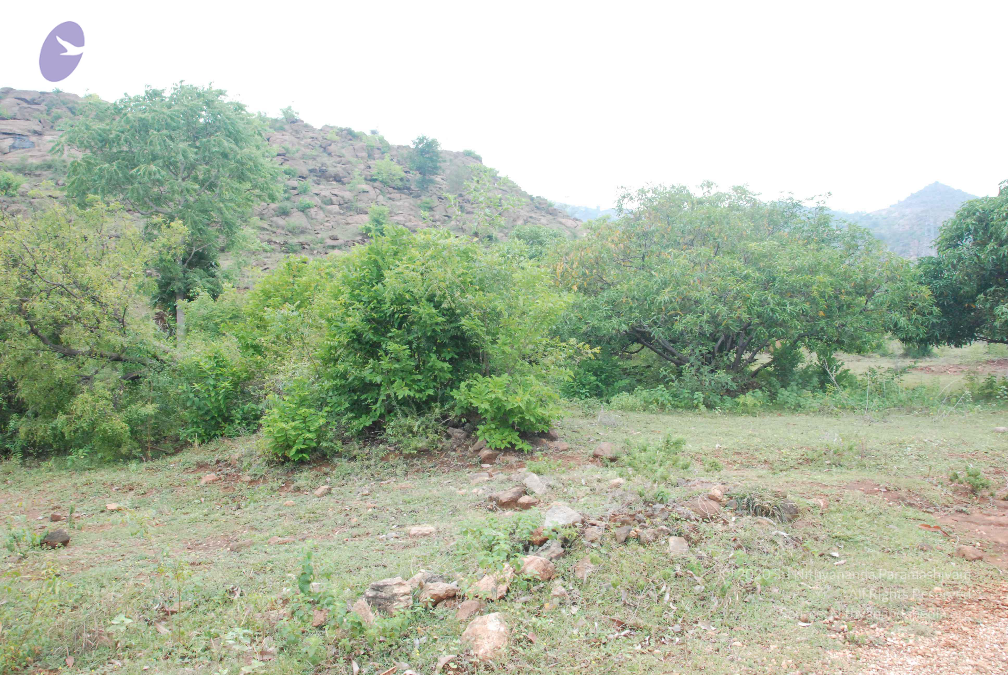 20090730_Photo_1048_DSC_0112_CMP_WM