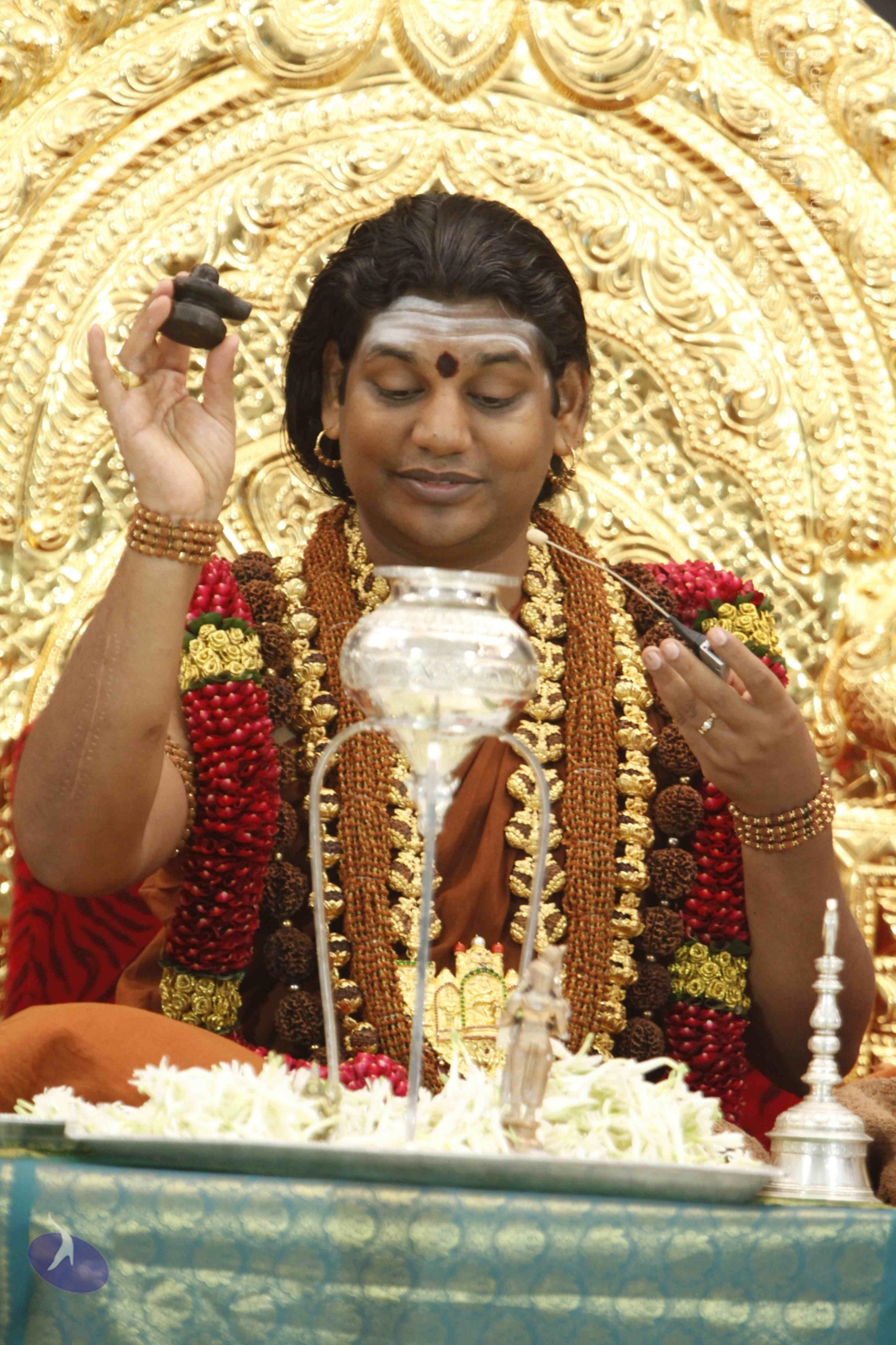 1-Rudrabhisekam-Swamiji_Photo_1025__MG_5973_CMP_WM
