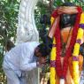 05--Dakshina-Murthi-Sacred-Banyan-Tree