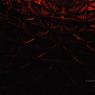 DSC_0823_CMP_WM