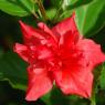 DSC_7501_CMP_WM