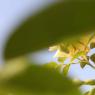 IMG_6437_CMP_WM