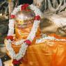 2003-SWAMIJI-PERFORMING-POOJA-UNDER-BANYAN-TREE-AFP-13210