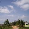100_0441_CMP_WM