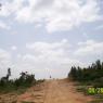 100_0453_CMP_WM