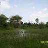 100_0454_CMP_WM
