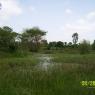100_0455_CMP_WM