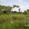 100_0456_CMP_WM