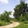 100_0470_CMP_WM