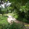 100_0471_CMP_WM