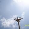 100_0488_CMP_WM