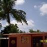 100_0490_CMP_WM