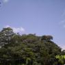 100_0496_CMP_WM